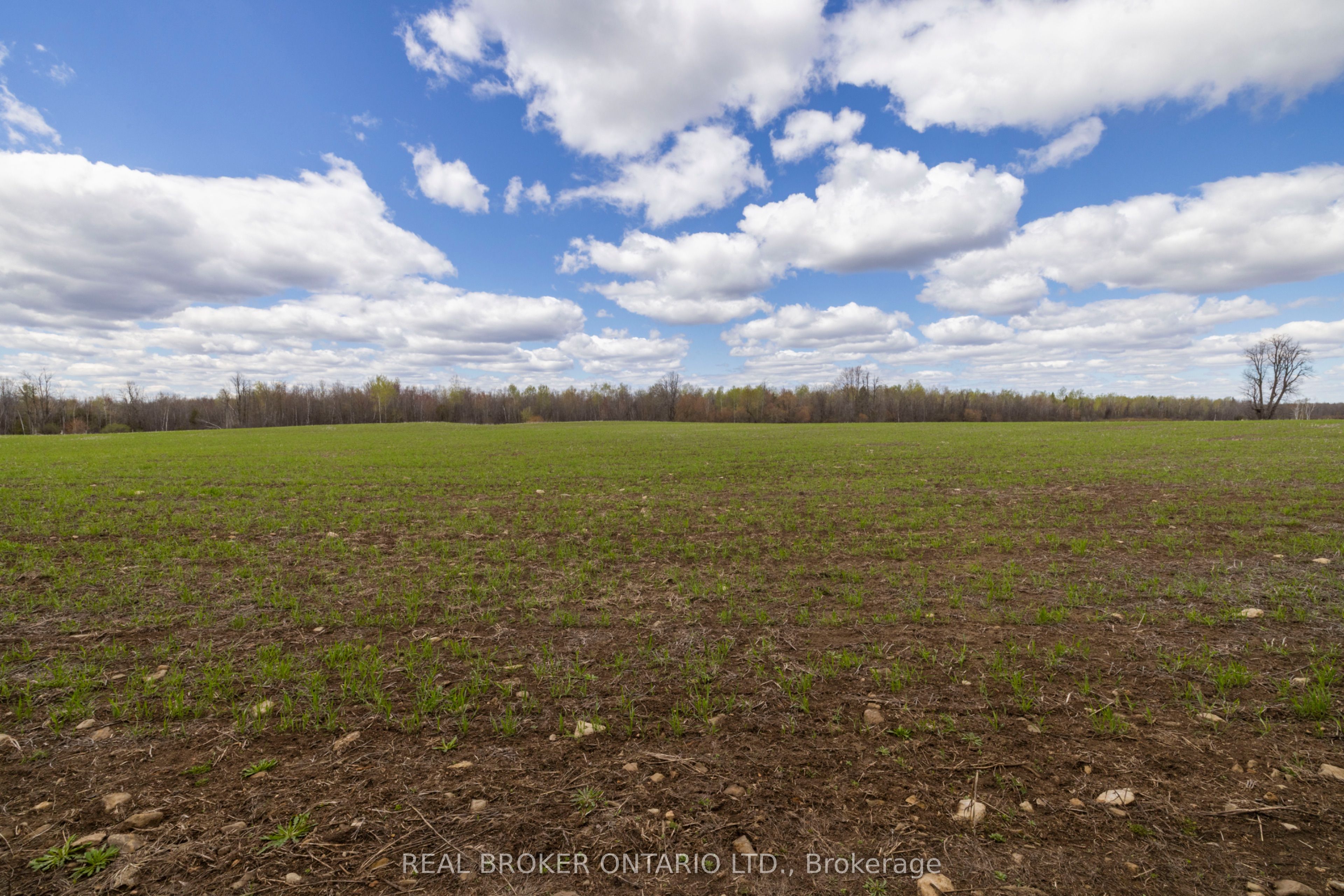 3115 Paden Road Property Photo 28