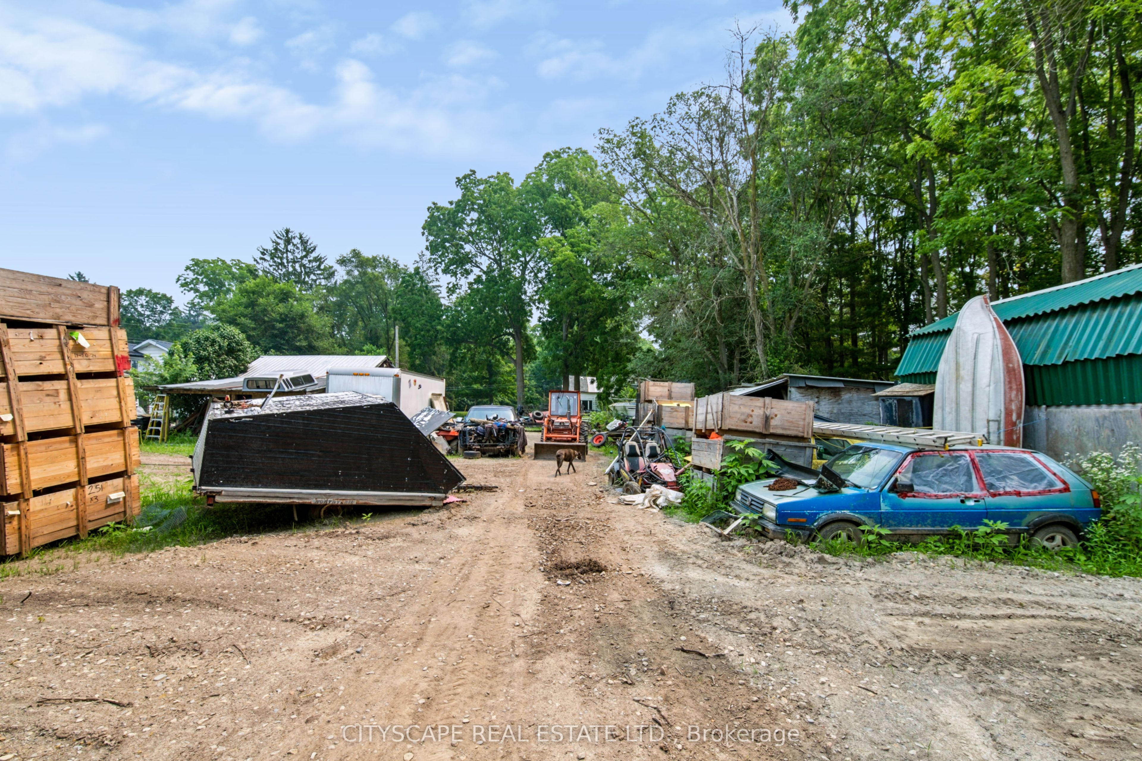 12 Enos Street Property Photo 22