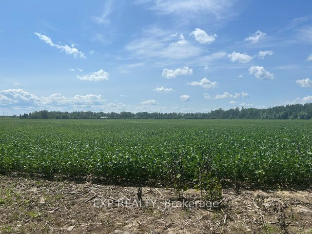 9327 Cooper Hill Road Property Photo 37