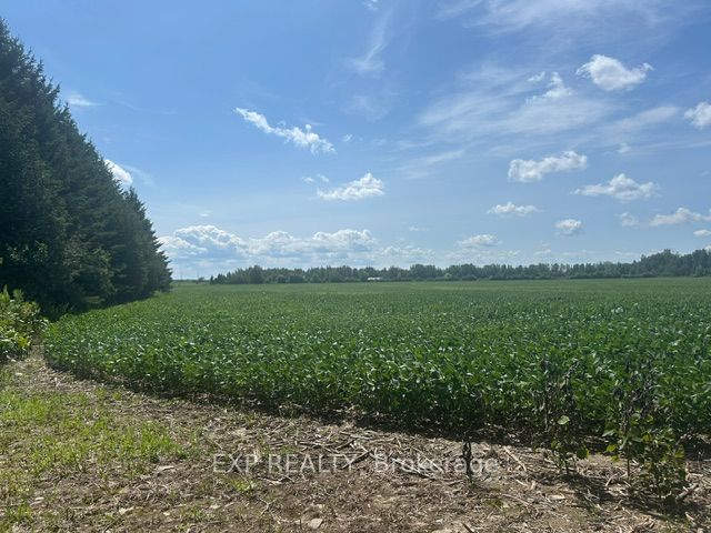 9327 Cooper Hill Road Property Photo 38