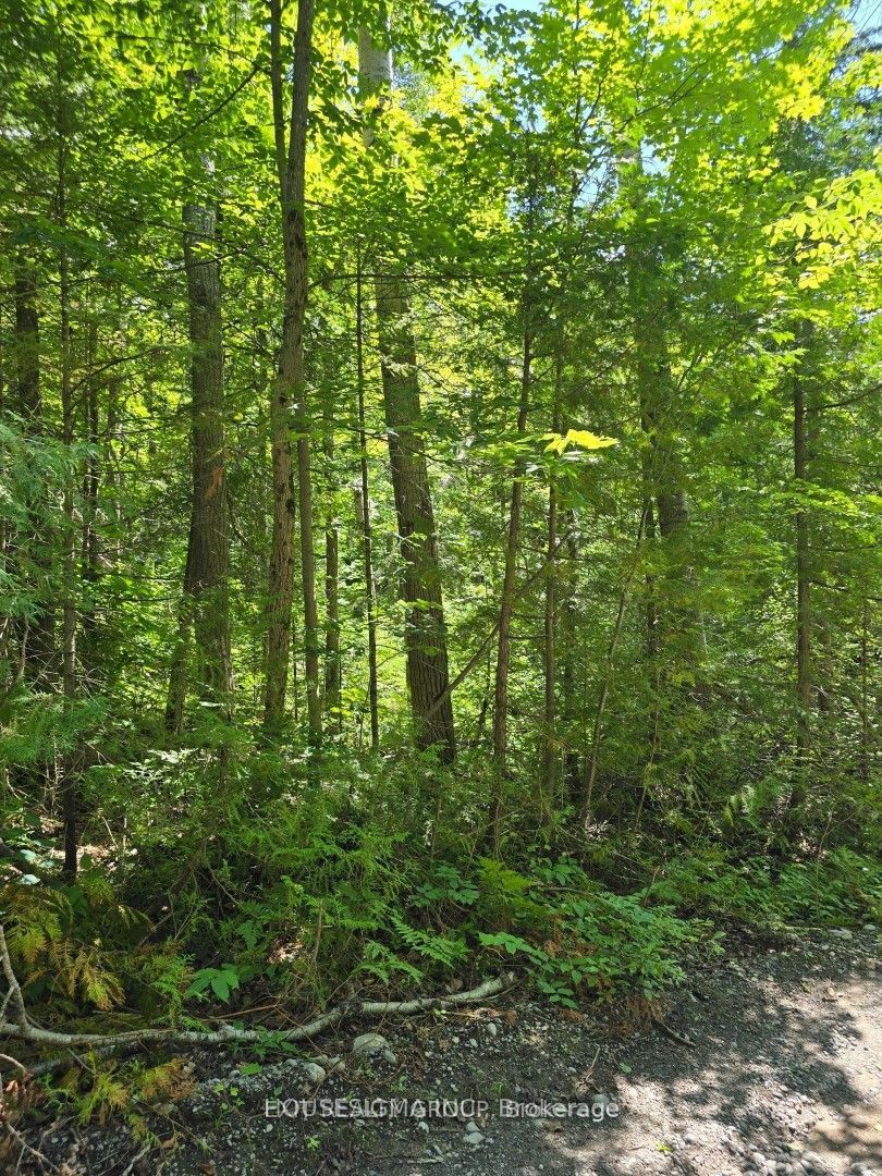 Pt Lt 3 Concession 8 Pt 123 Property Photo 1