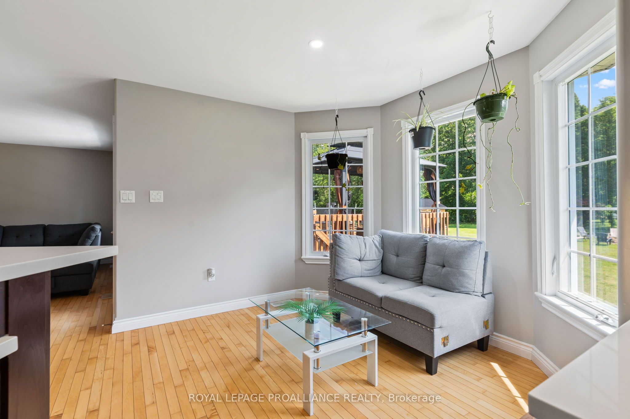 7 Albert Street Property Photo 10