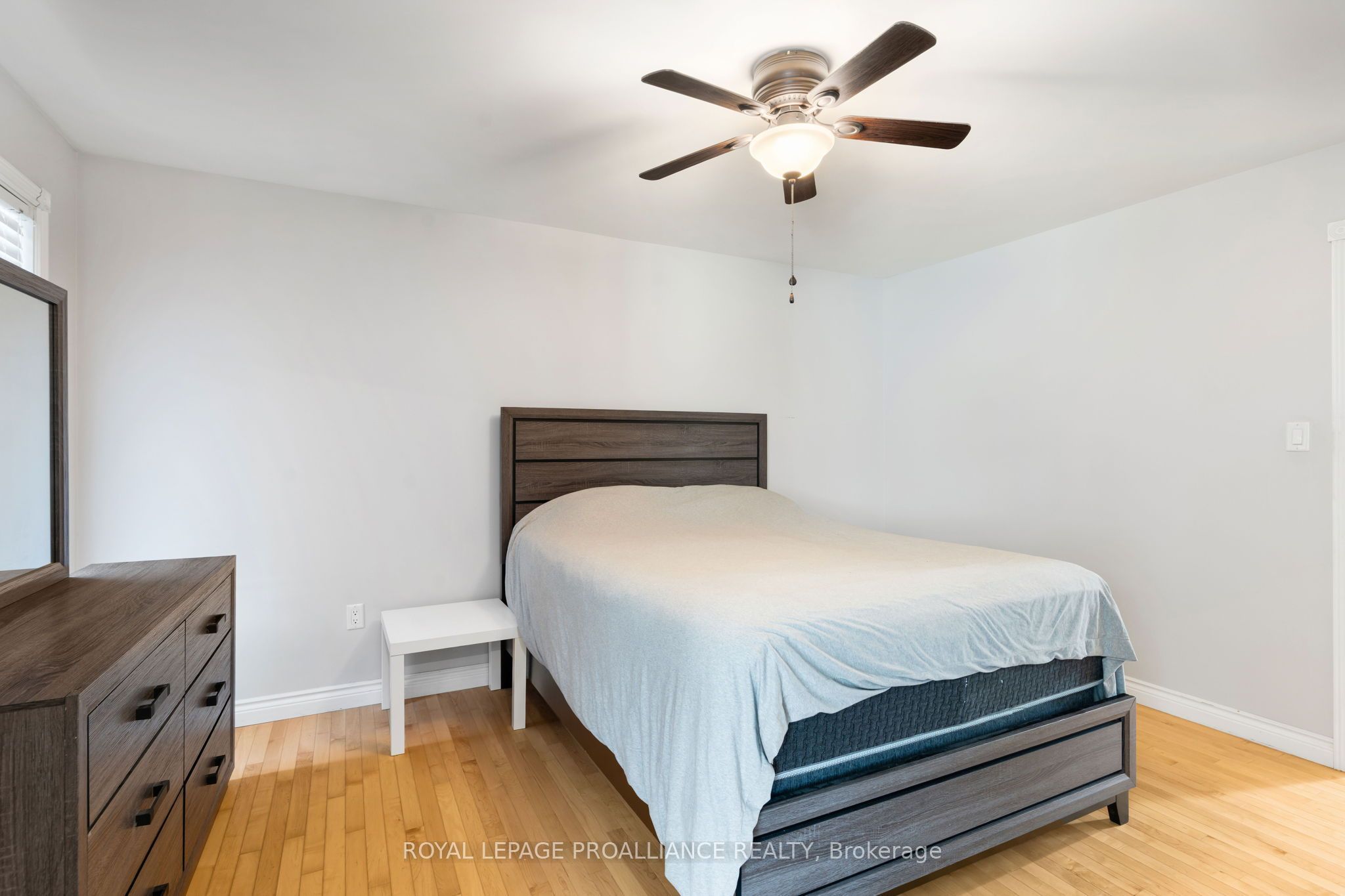 7 Albert Street Property Photo 20