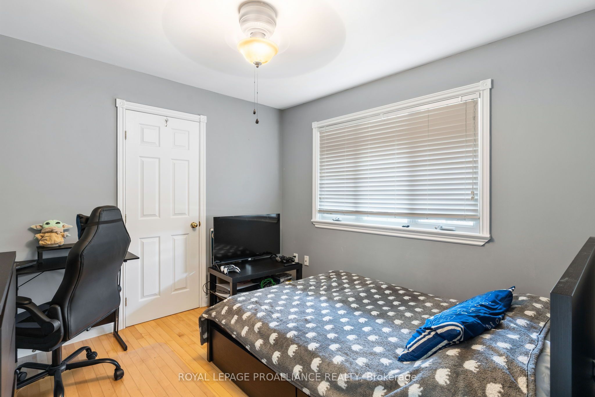 7 Albert Street Property Photo 26