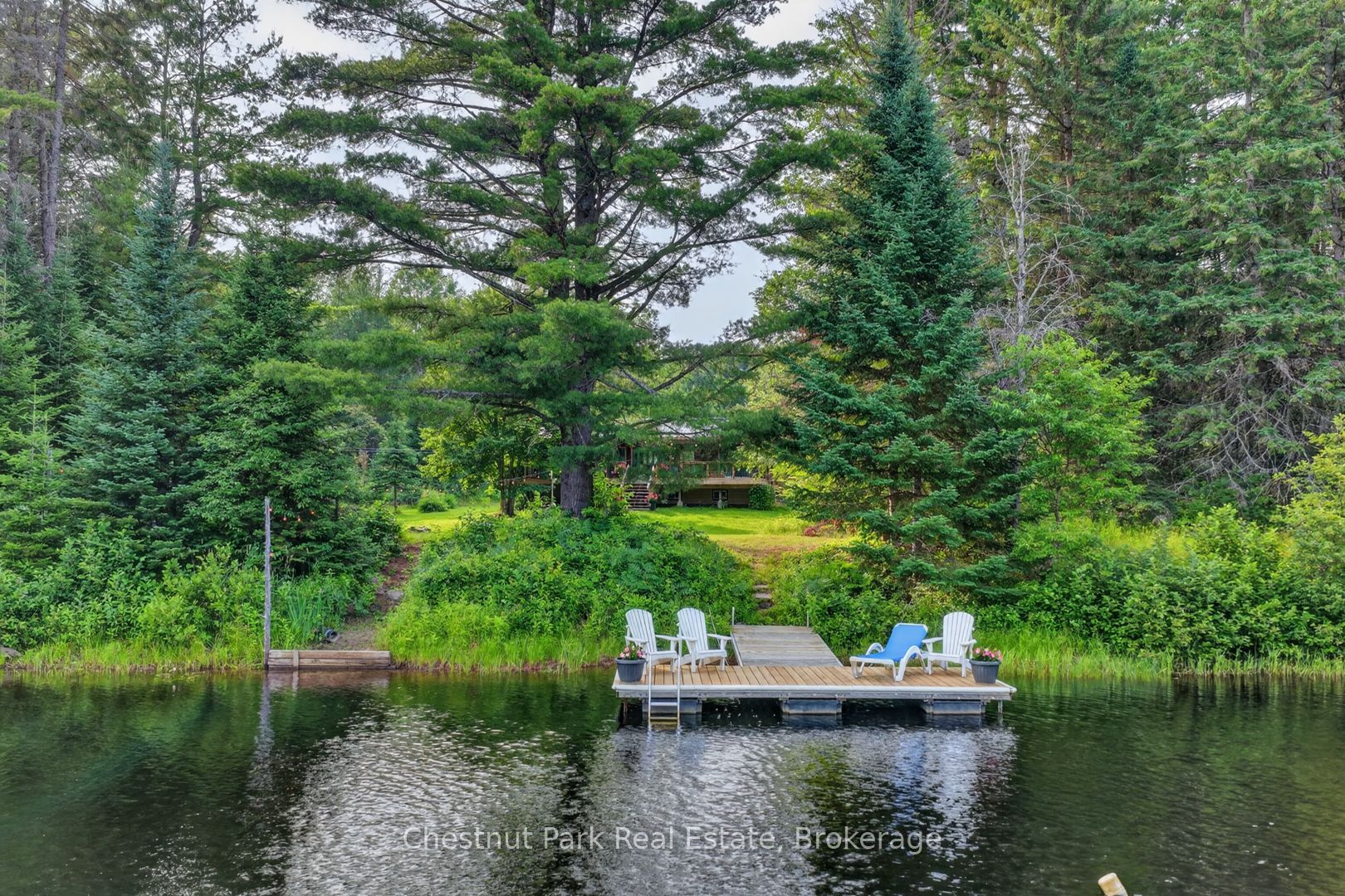 1162 High Falls Road Property Photo 3