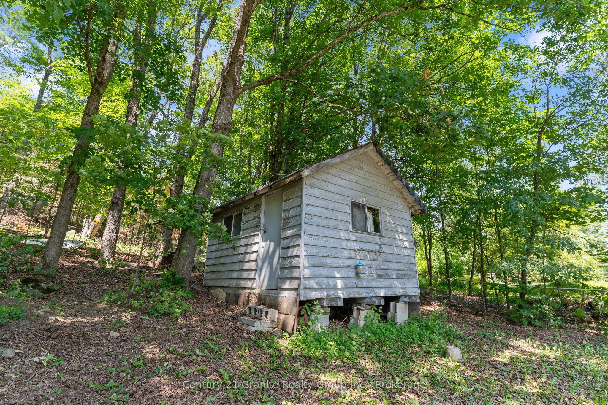 4687 County Rd 21 Road Property Photo 33