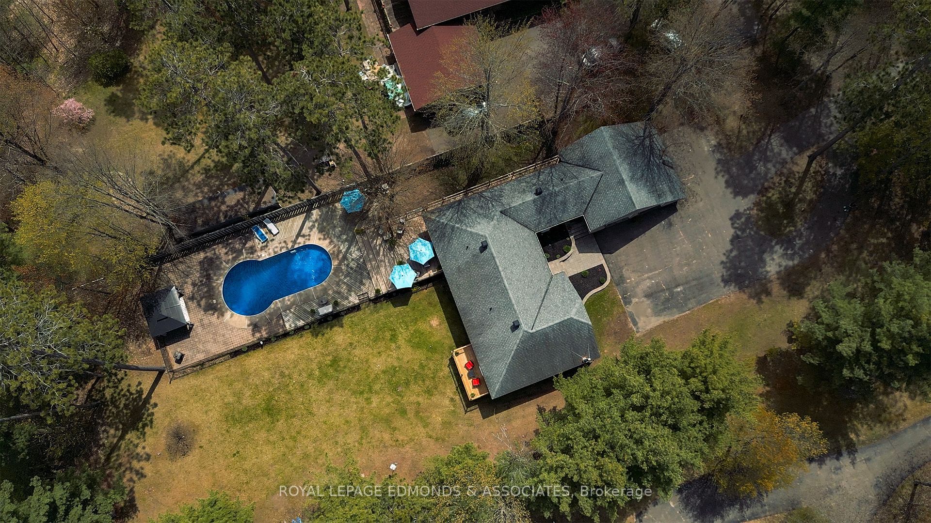 39 Selley Street Property Photo 3