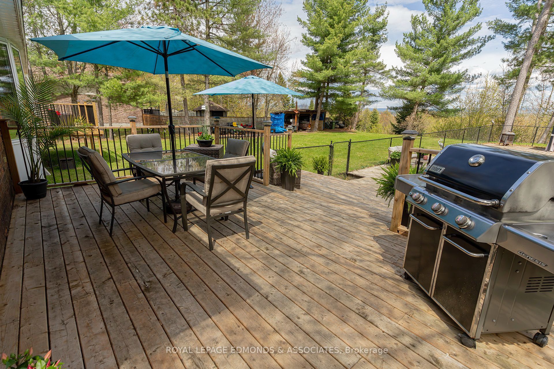 39 Selley Street Property Photo 8