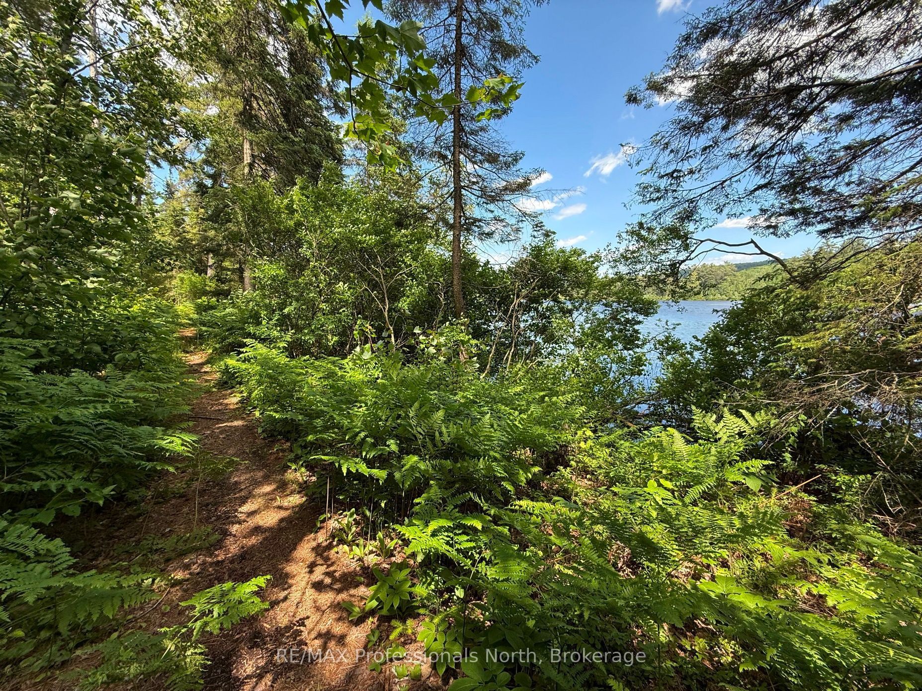 1053 Cheerful Lane Property Photo 40