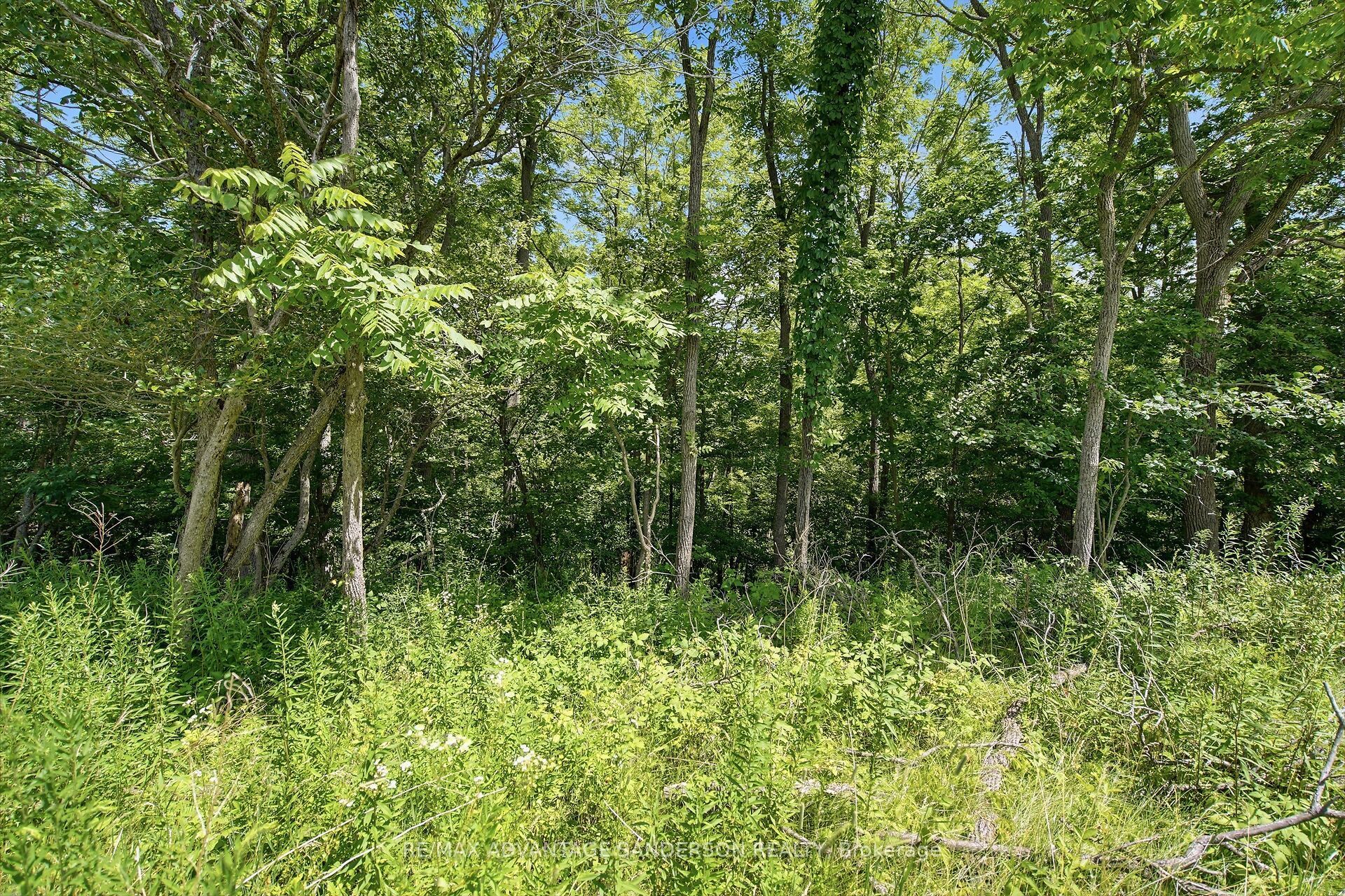 1502 Winter Drive Property Photo 40