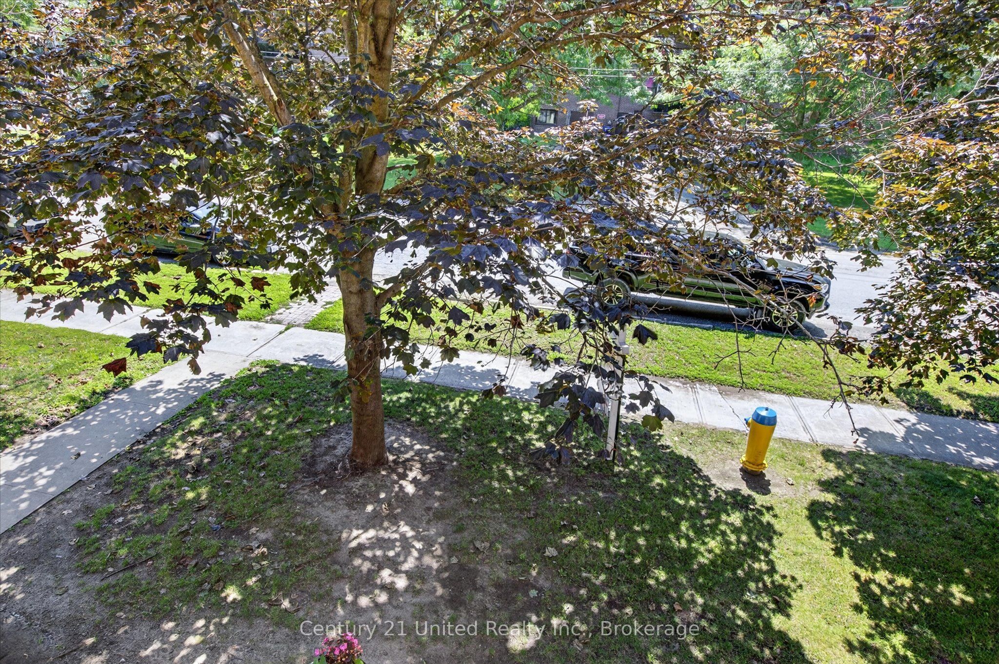 136 Ware Street 201 Property Photo 29