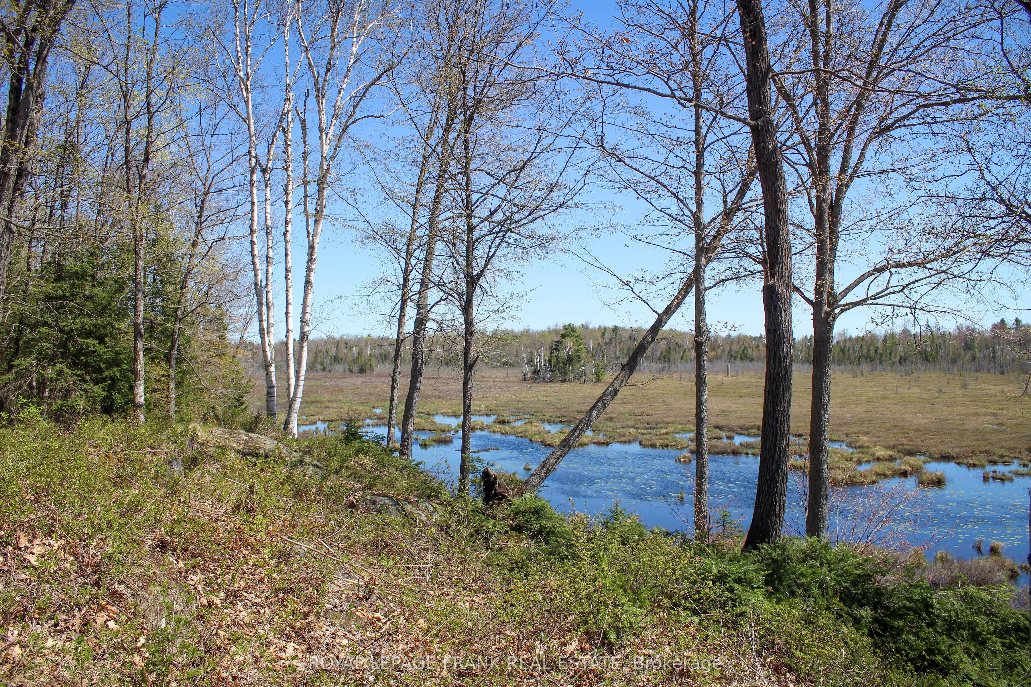 23157 A&b Highway 62 Property Photo 33