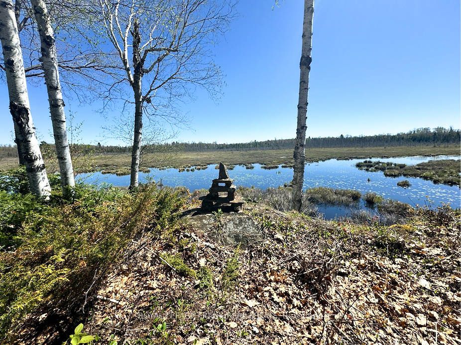 23157 A&b Highway 62 Property Photo 34