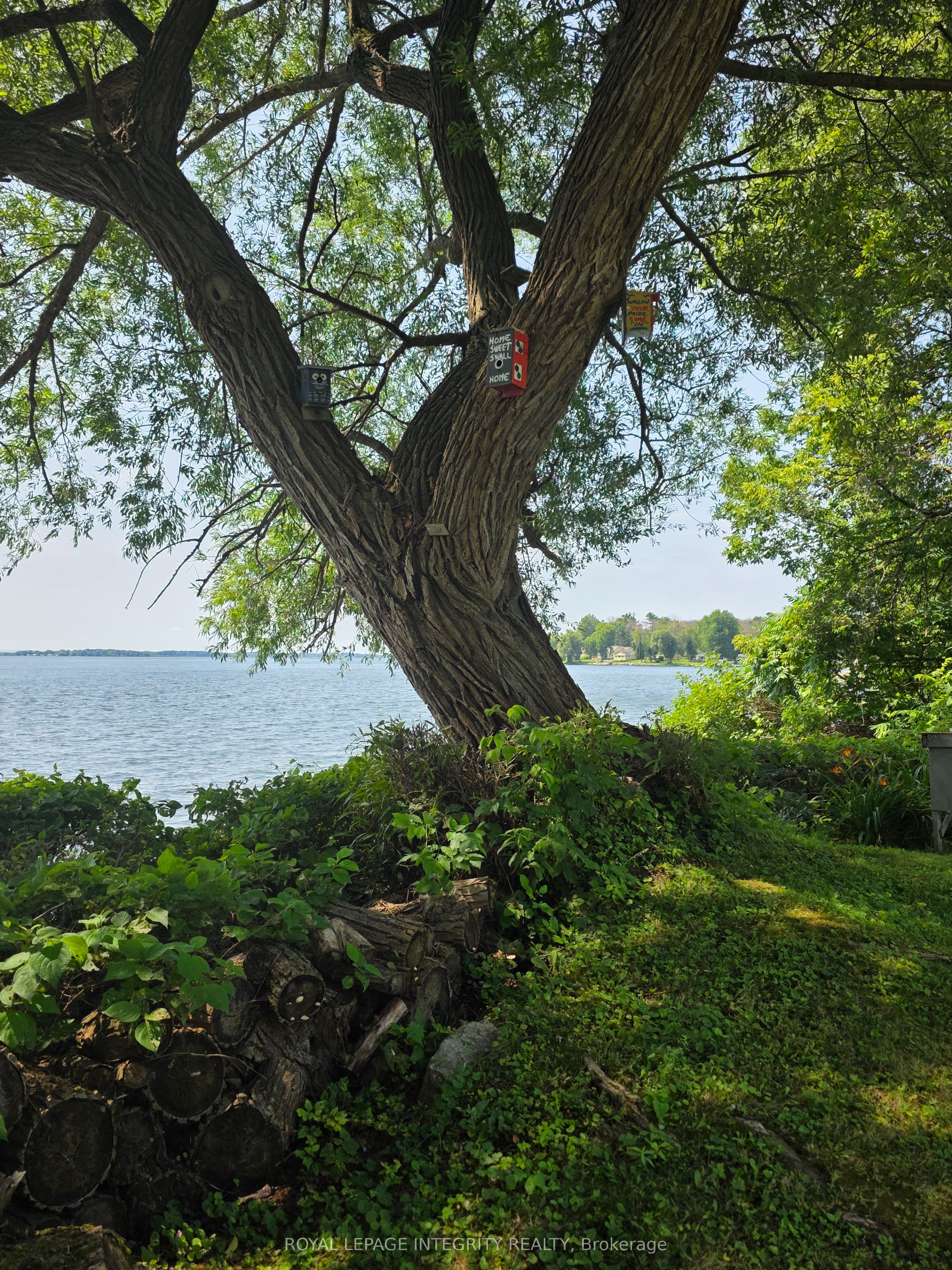Lot 5 St Francis Island Property Photo 14