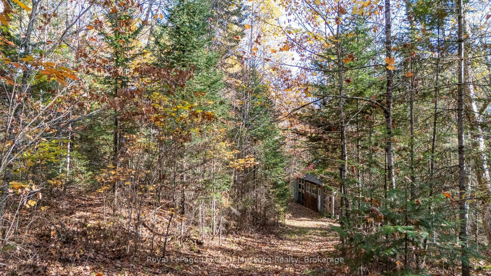96 520 Highway W Property Photo 28