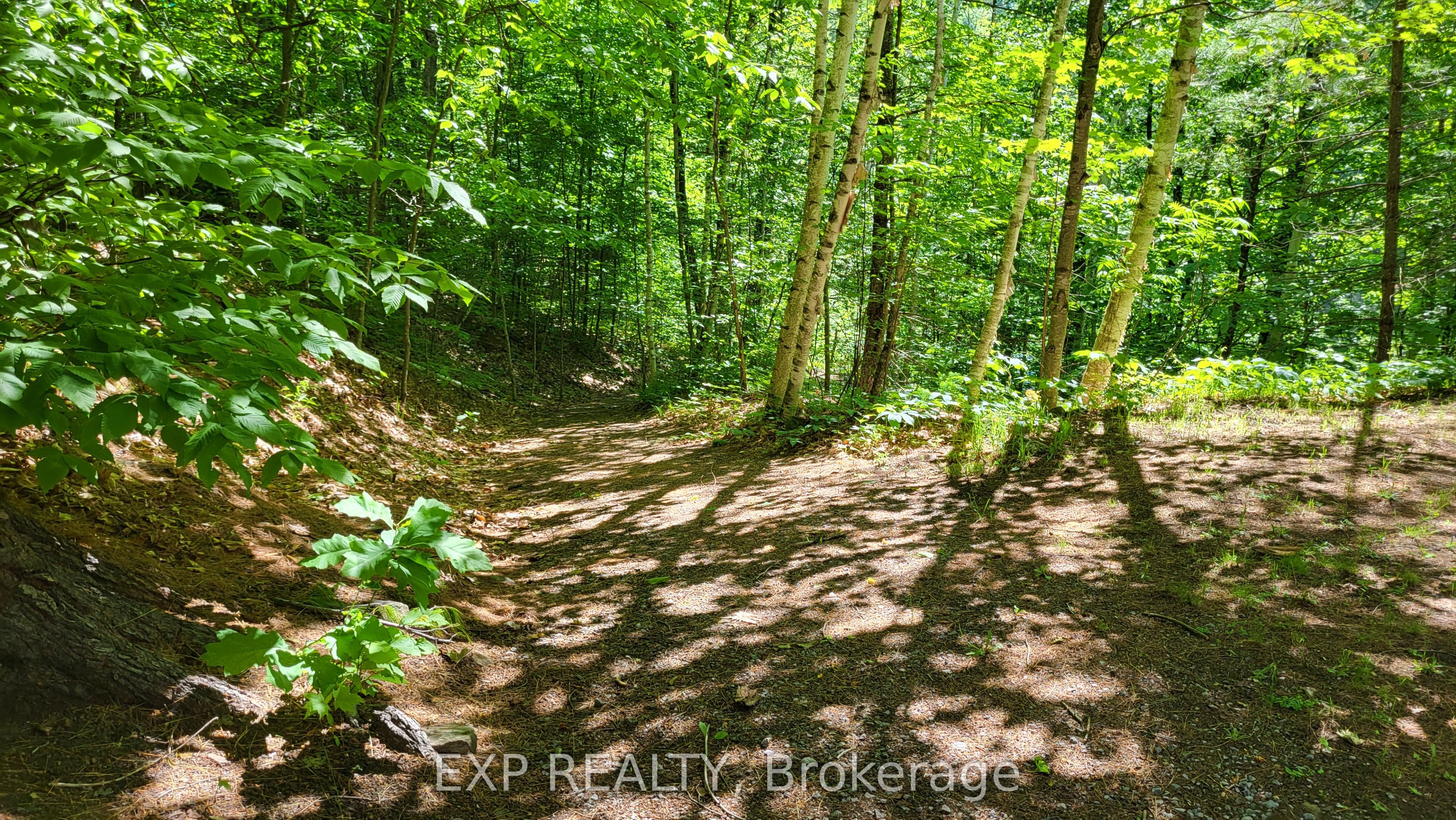 2205 Calabogie Road Property Photo 28