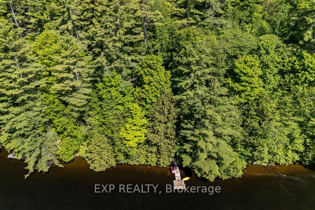 2205 Calabogie Road Property Photo 41