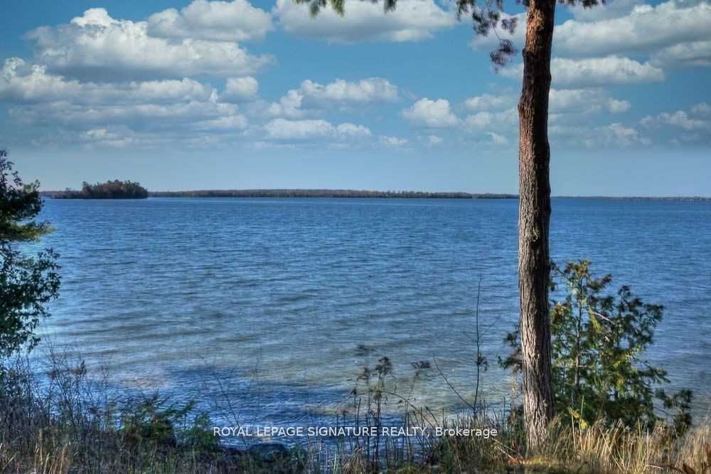 68 Rosedale Trail Property Photo 21
