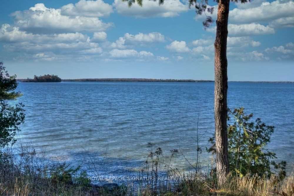 68 Rosedale Trail Property Photo 23