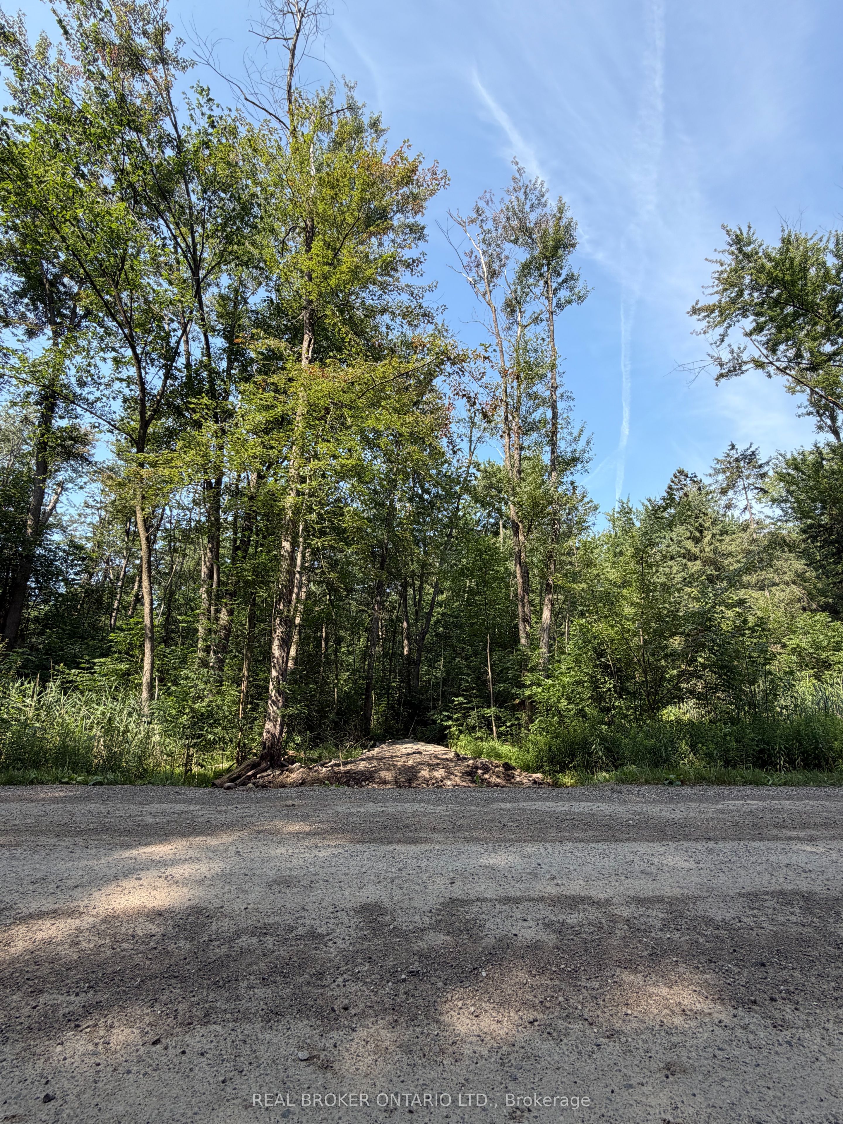436123 43rd Line Property Photo 2