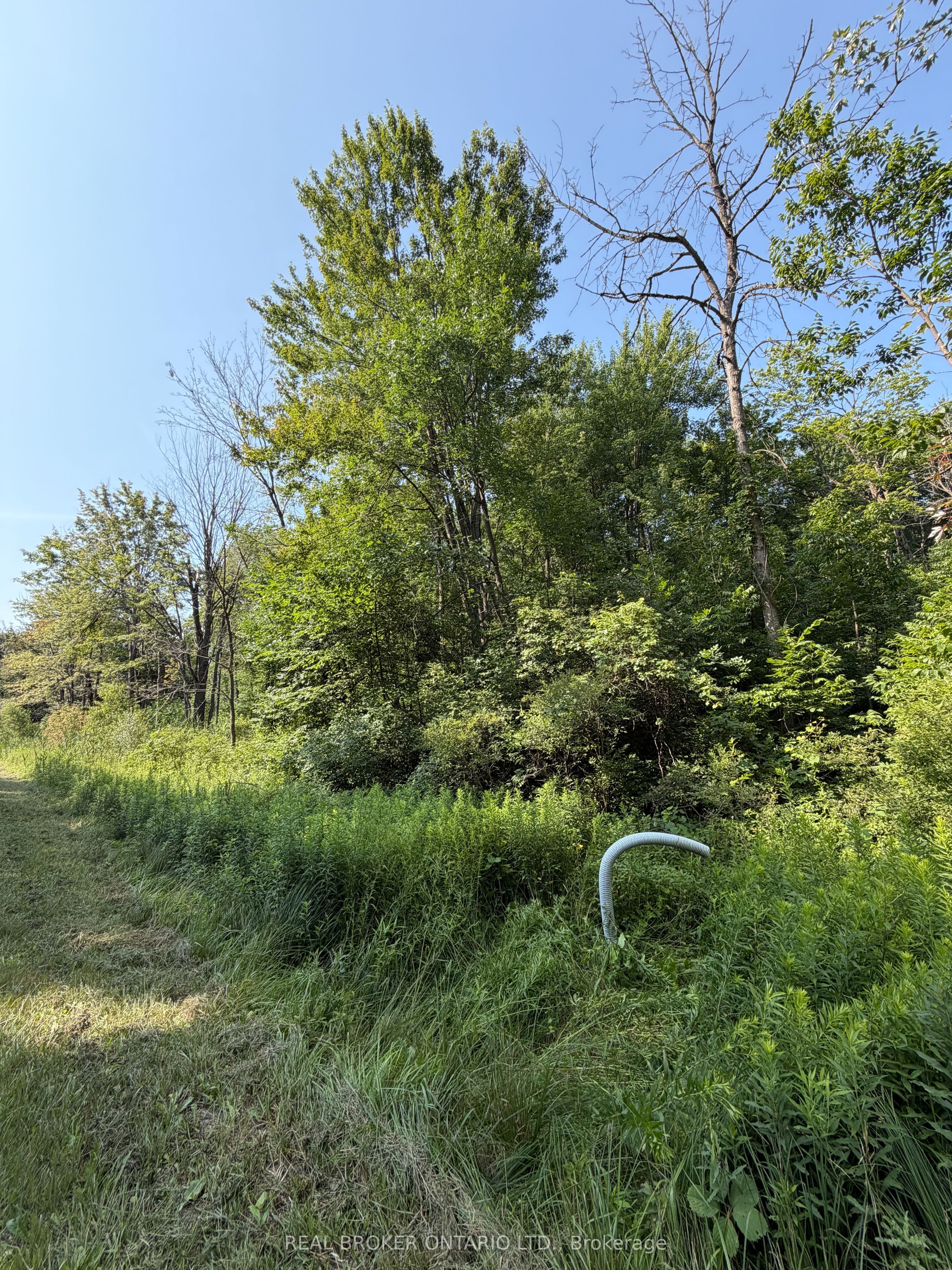 436123 43rd Line Property Photo 3