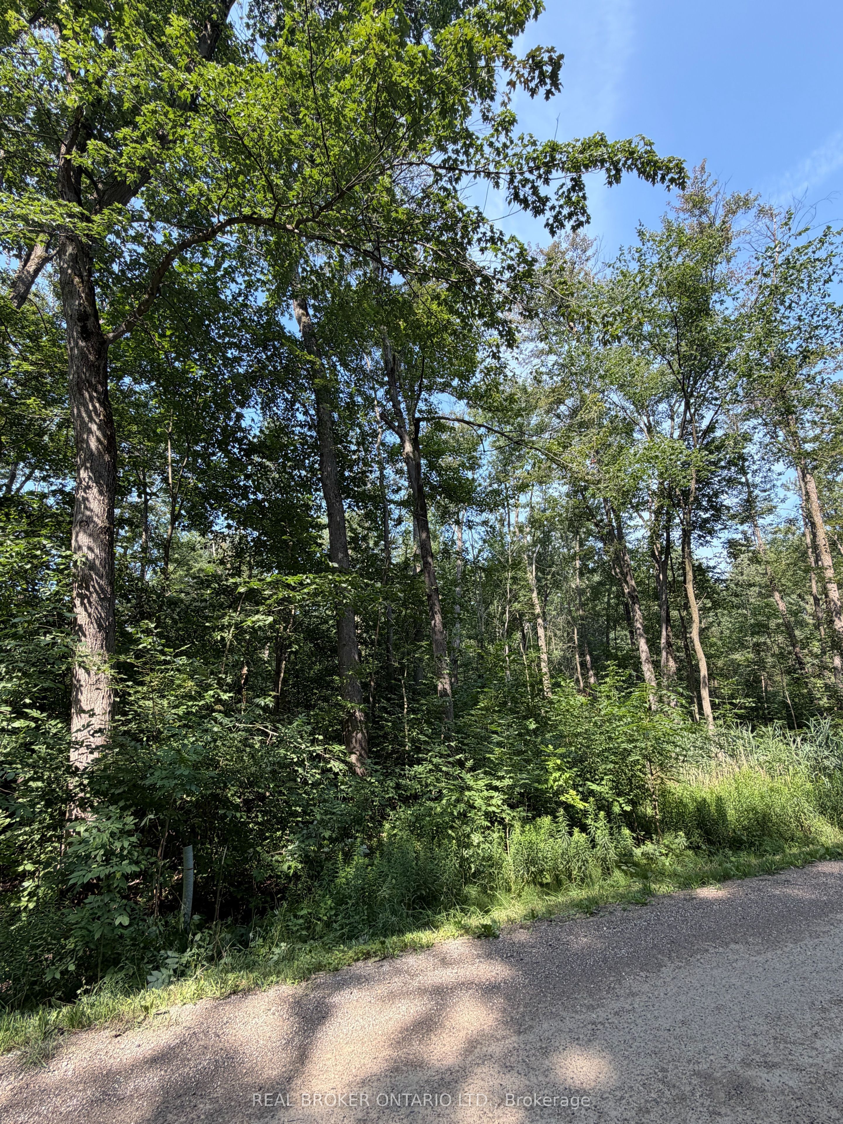436123 43rd Line Property Photo 4