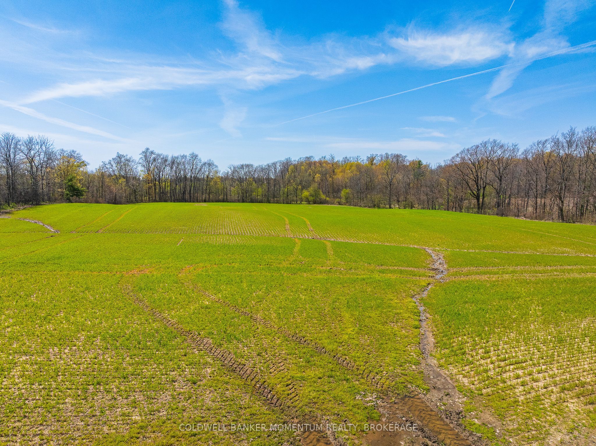 Pt Lot 7 Con 9 Tintern Road Property Photo 19