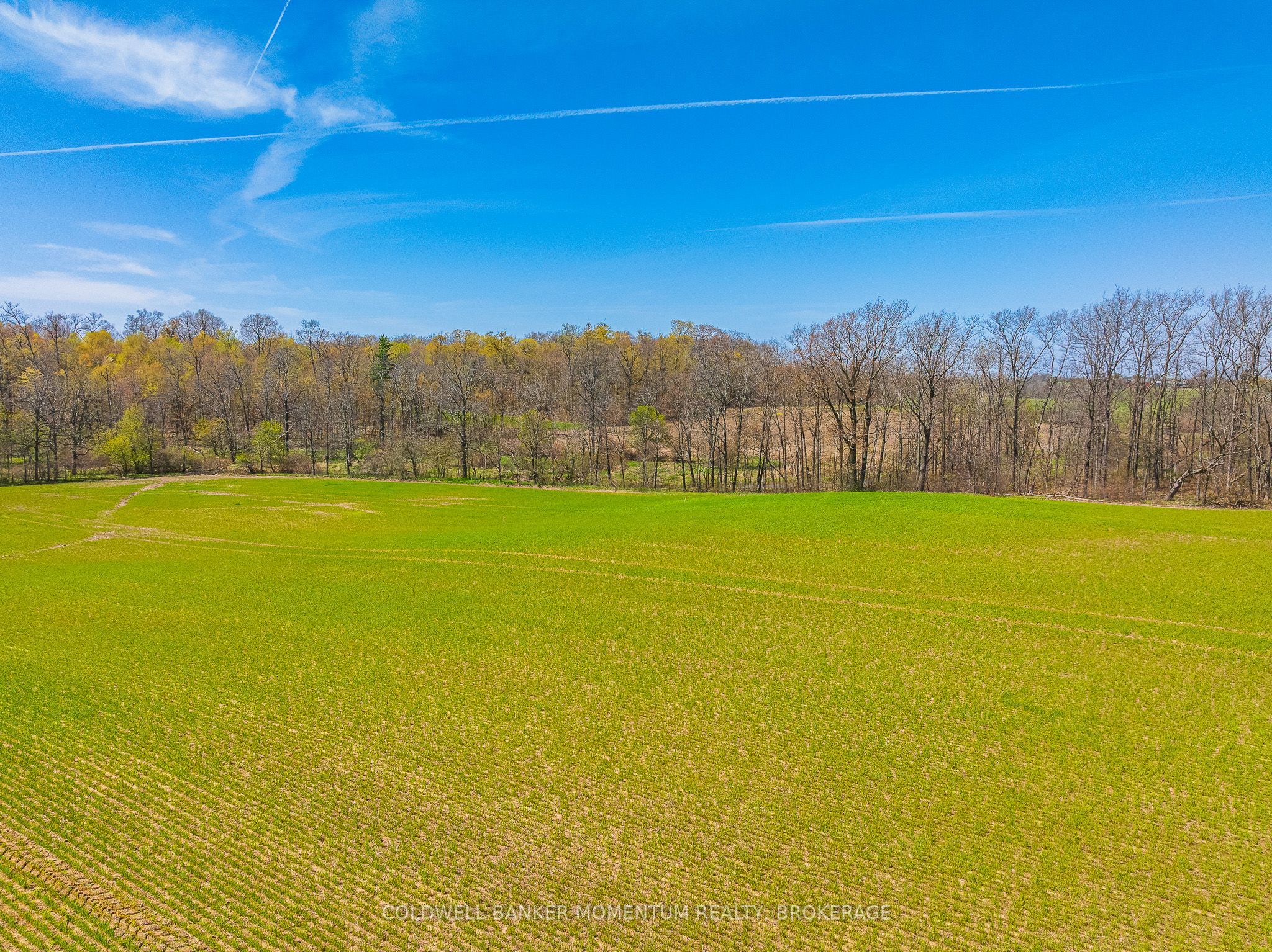 Pt Lot 7 Con 9 Tintern Road Property Photo 21