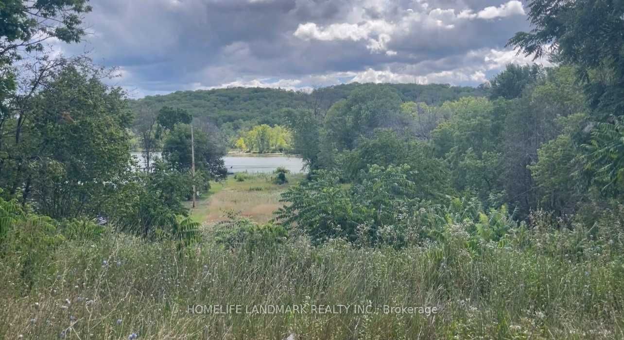 1355 County Rd 45 Property Photo 6