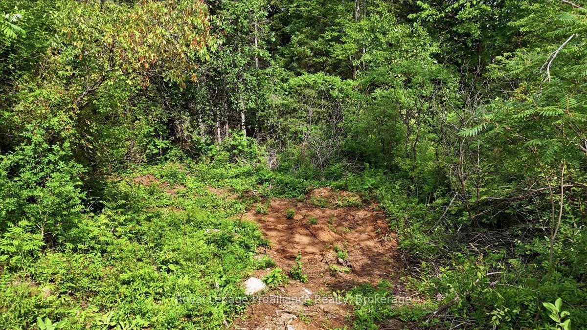 00 Otter Creek Road Property Photo 6