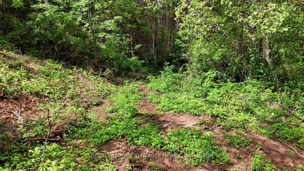 00 Otter Creek Road Property Photo 8