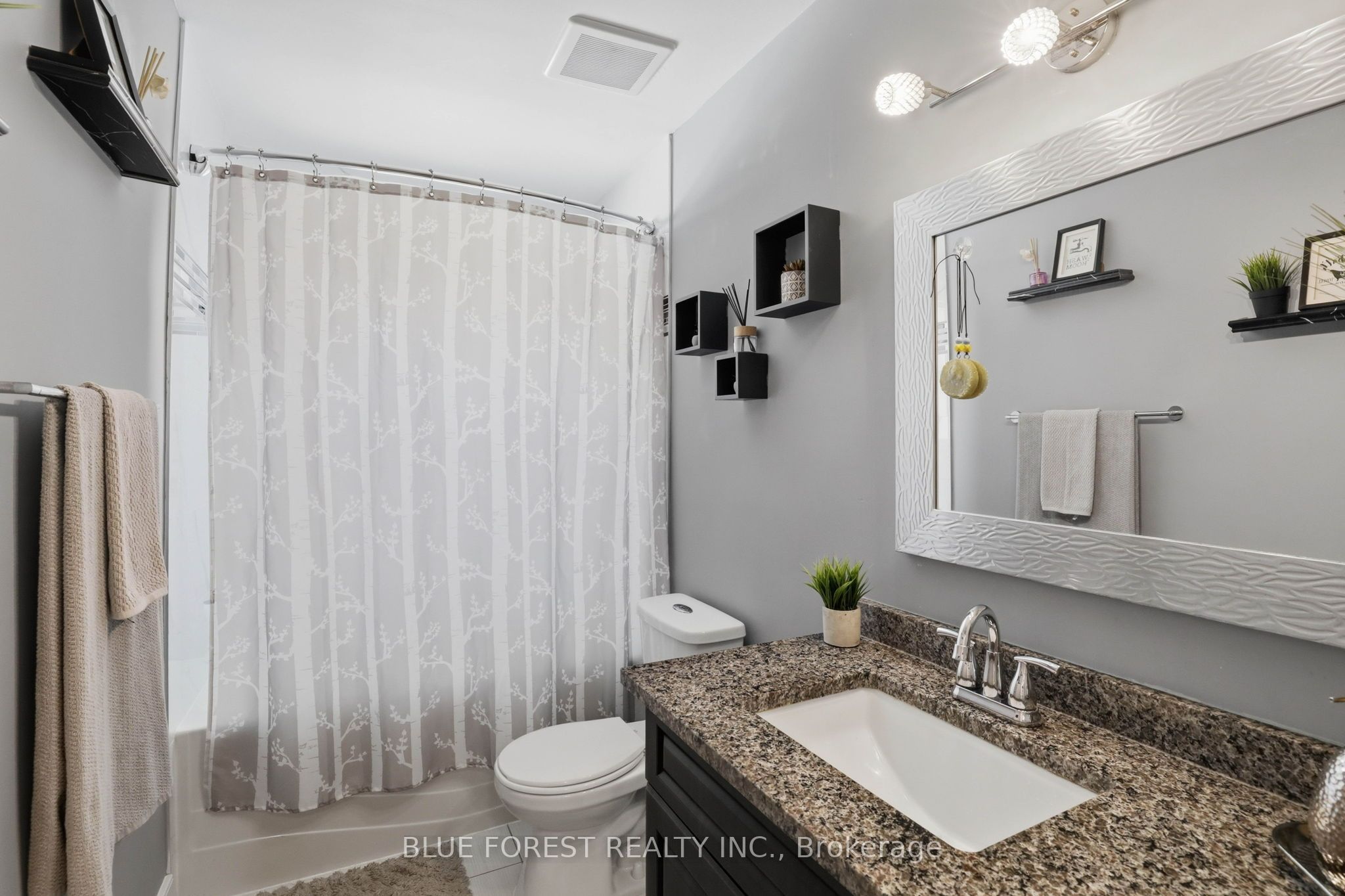 11 Hillsborough Road Property Photo 13