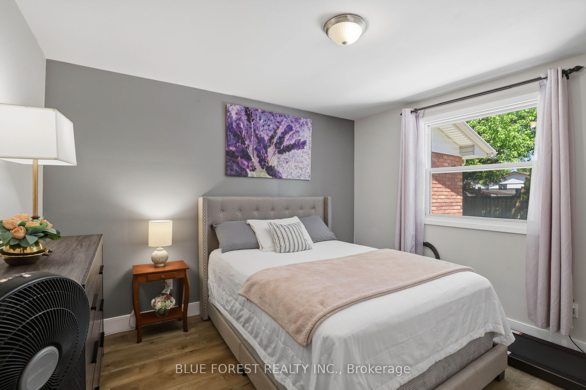 11 Hillsborough Road Property Photo 14