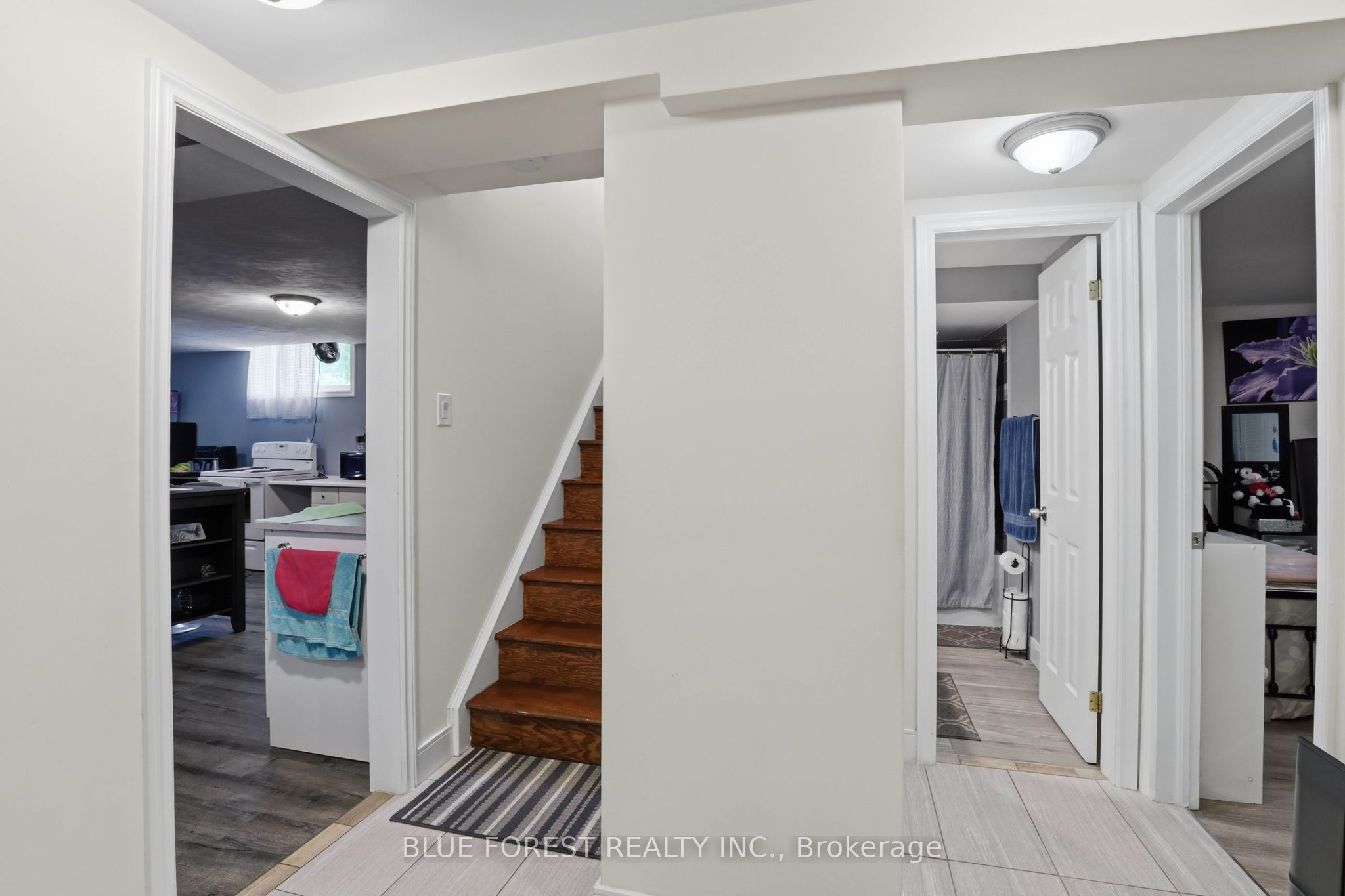 11 Hillsborough Road Property Photo 16