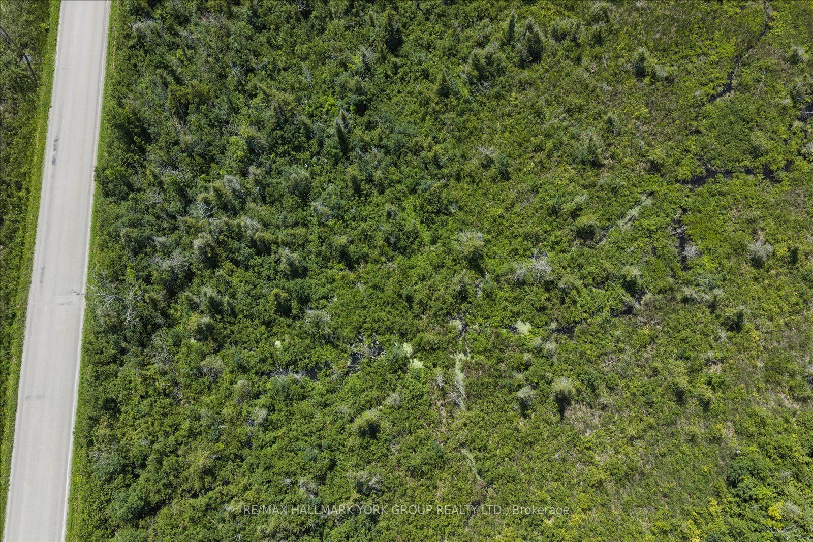 Lot 23 10 Concession Property Photo 14