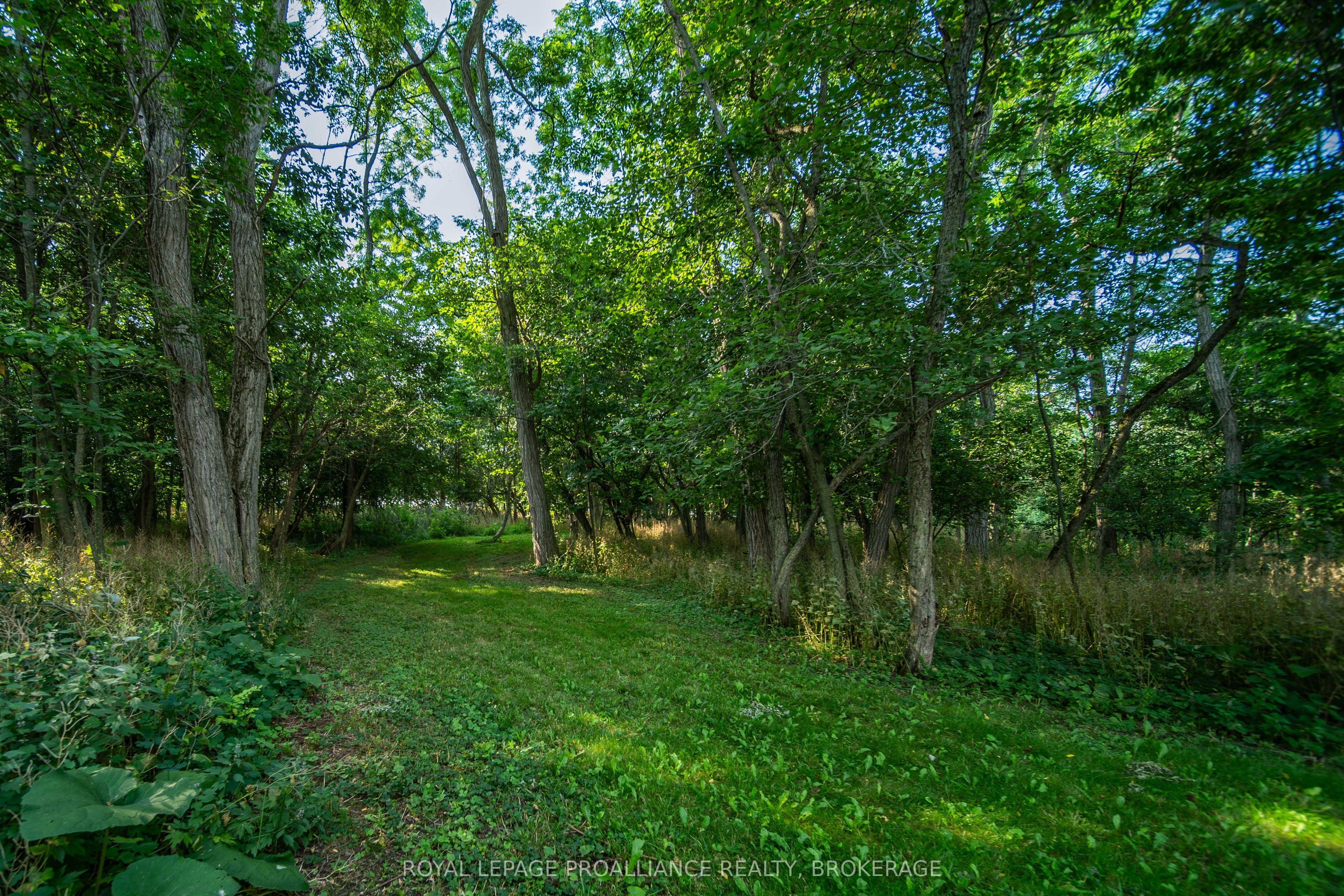 1039 Highway 96 Property Photo 35