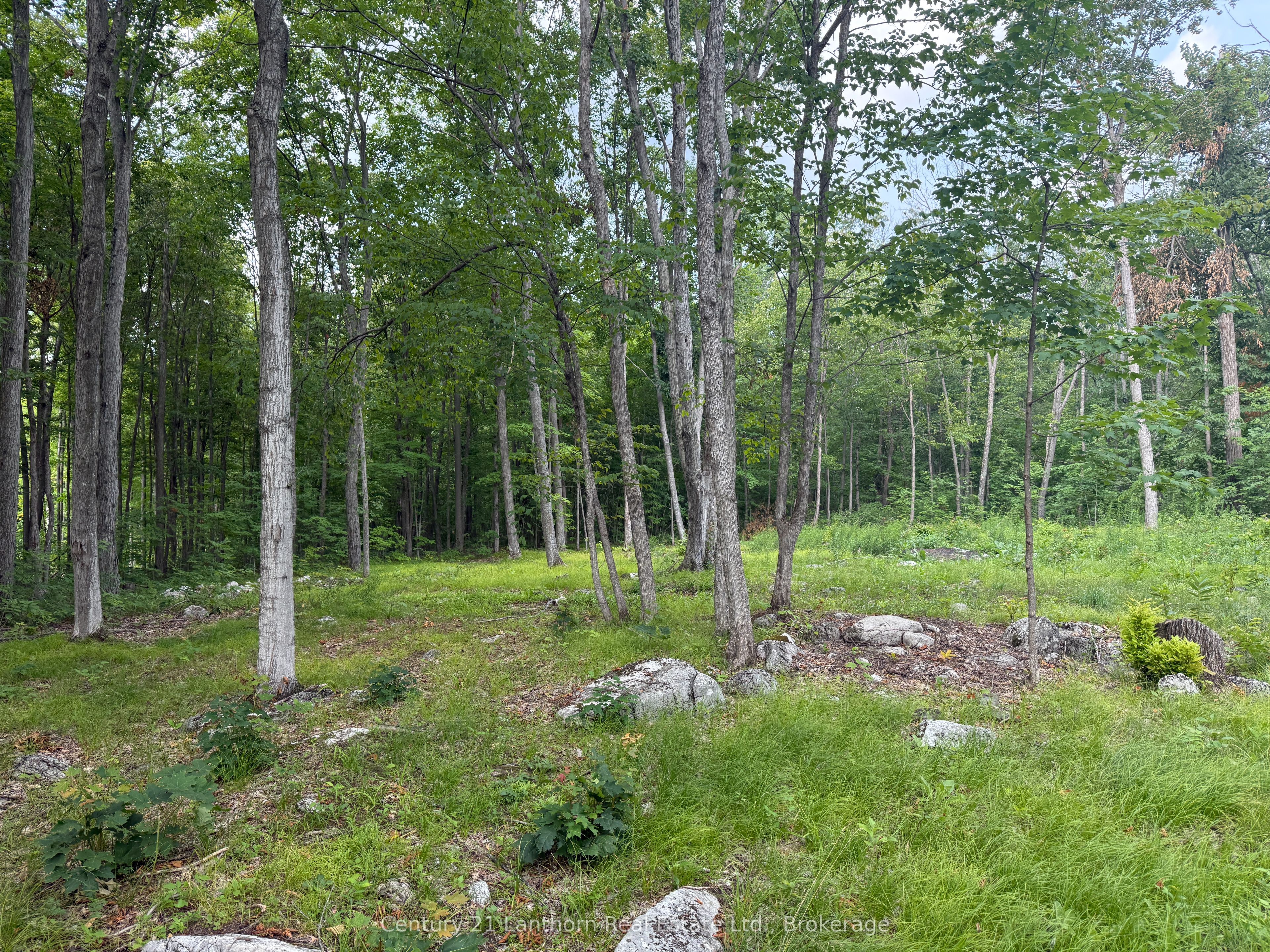 554 Pigden Road Property Photo 1