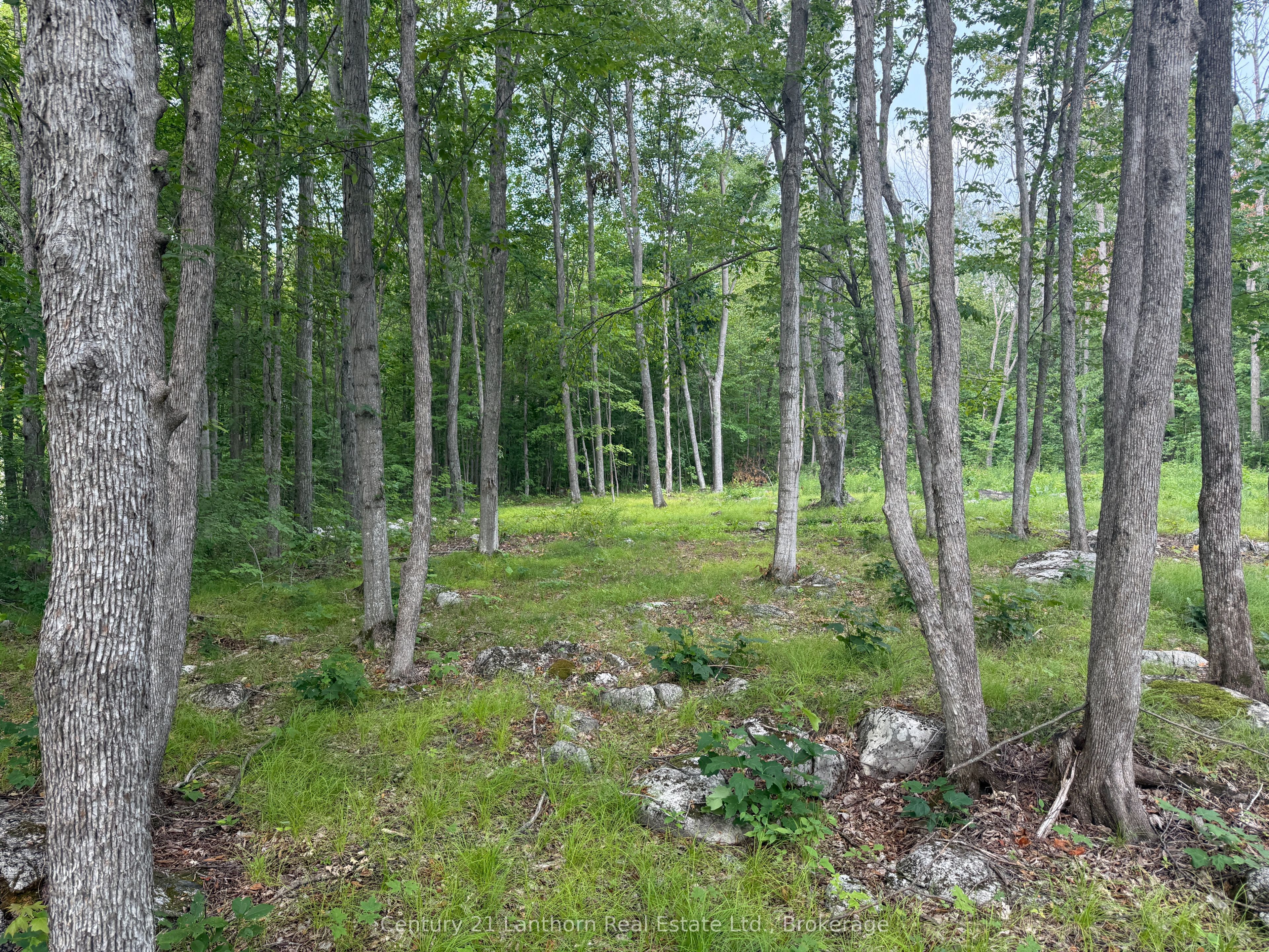 554 Pigden Road Property Photo 2