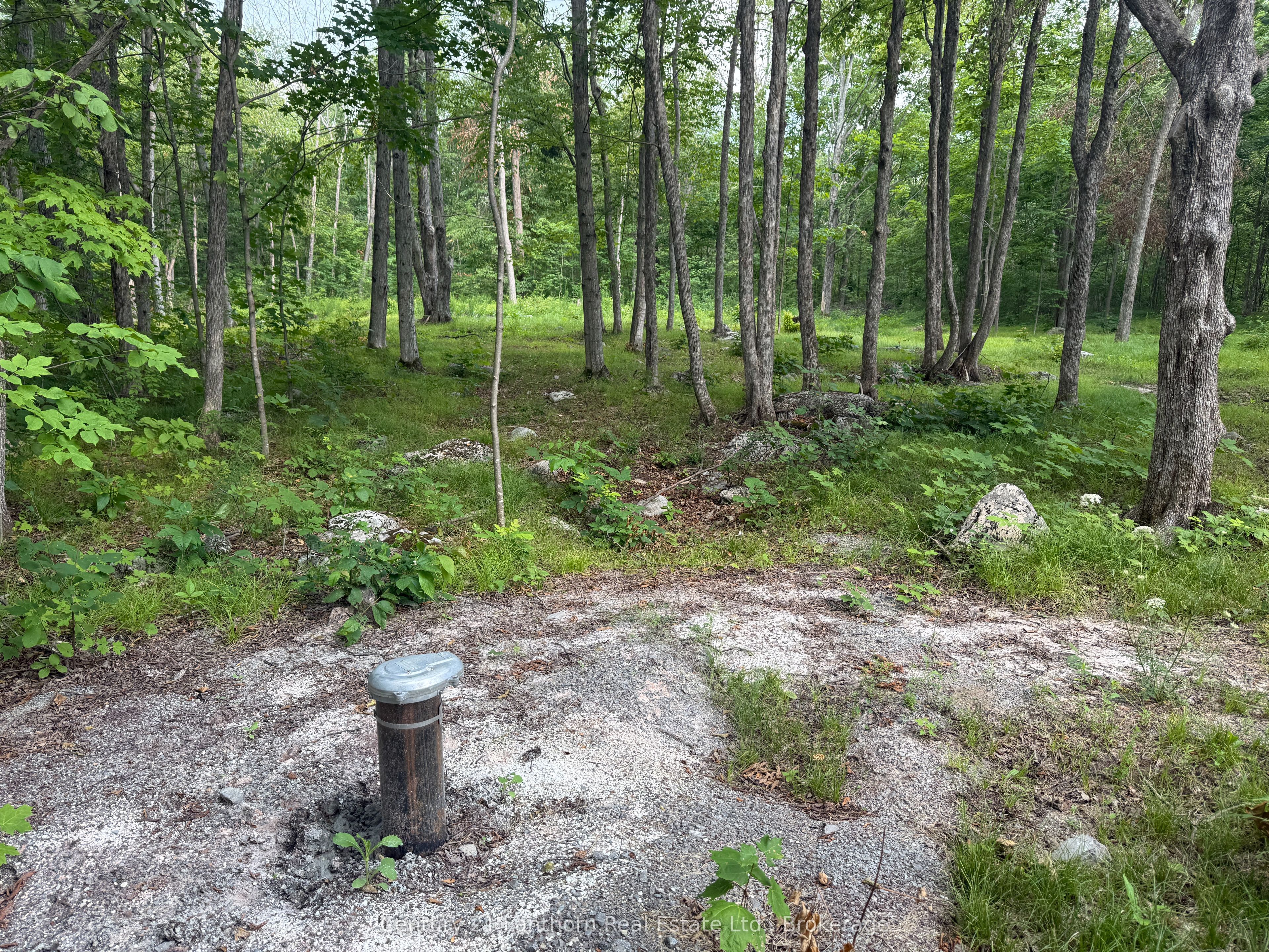554 Pigden Road Property Photo 3