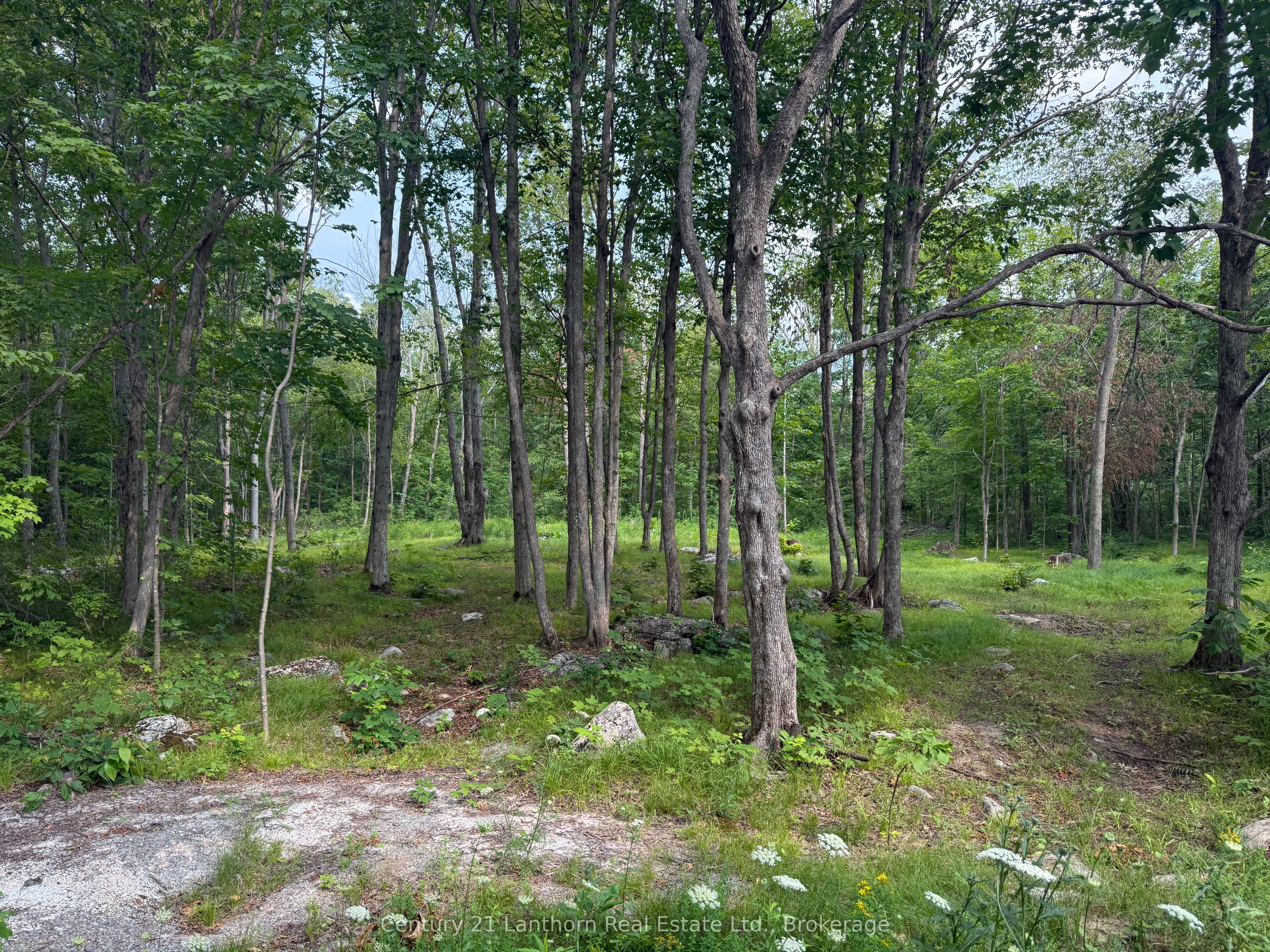 554 Pigden Road Property Photo 4