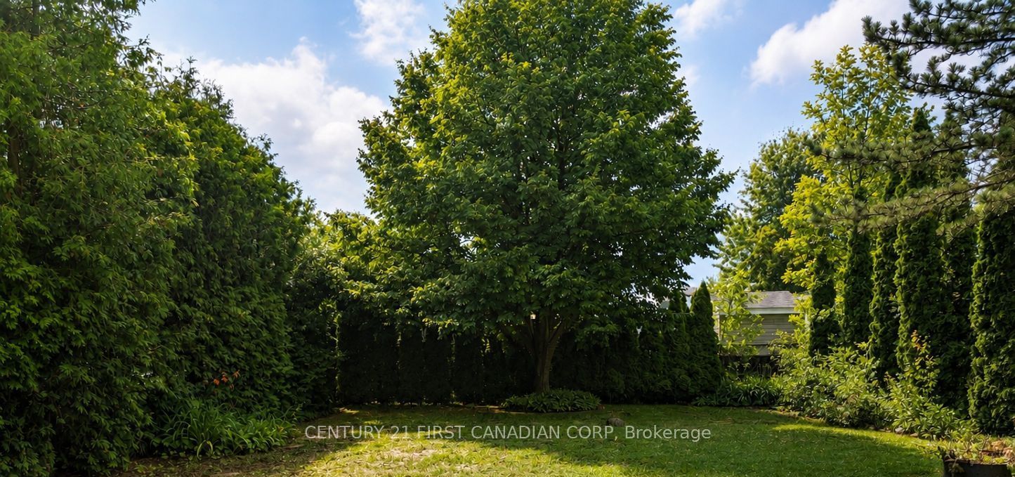 79681 Bluewater Highway 57 Property Photo 1