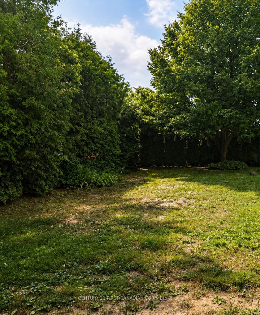 79681 Bluewater Highway 54 Property Photo 1