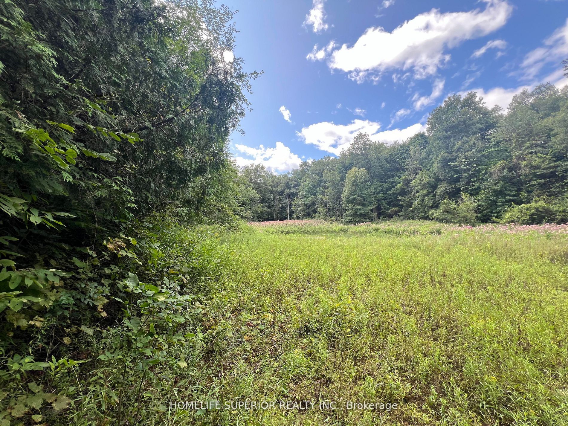 985 Twiddy Road Property Photo 28