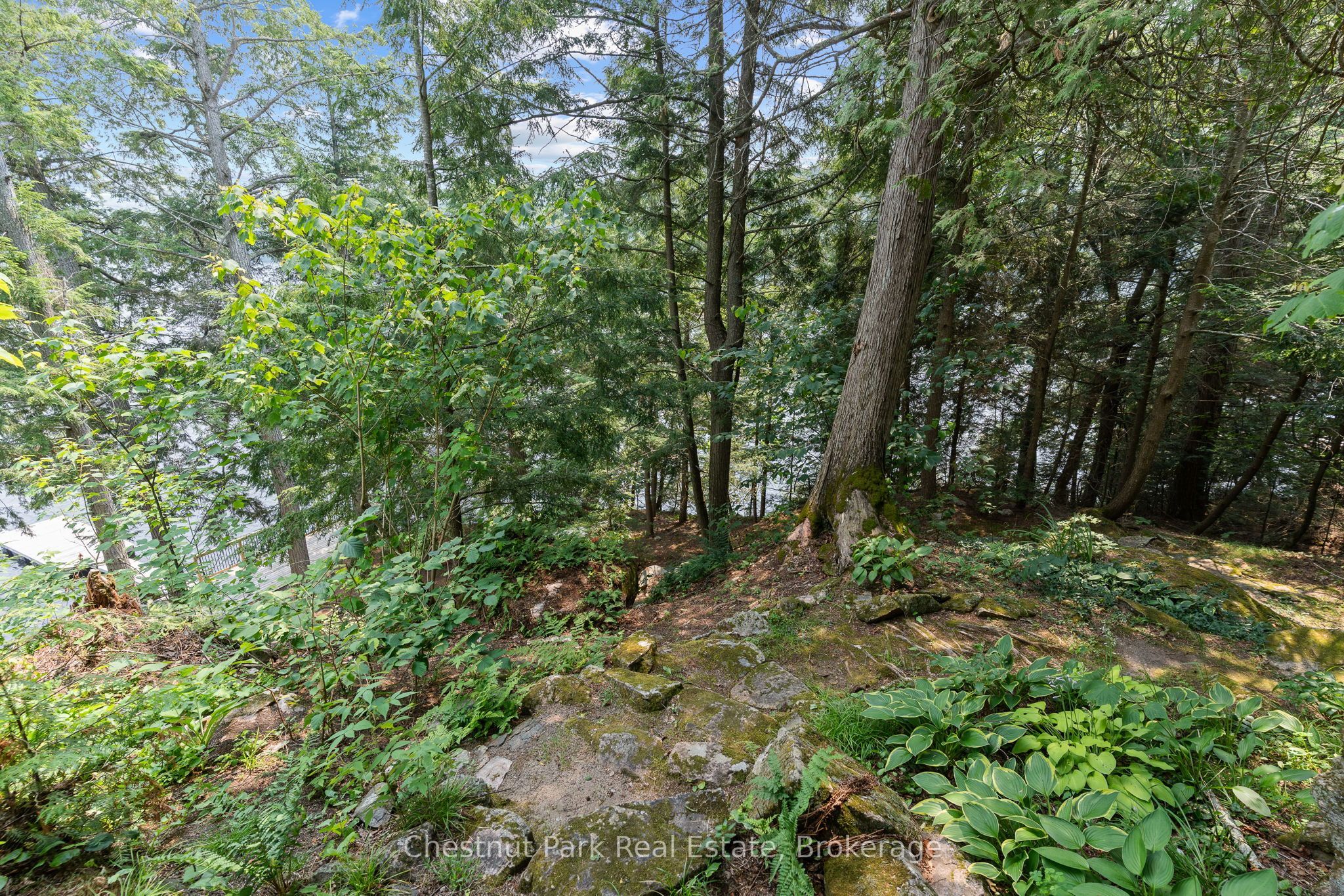 1093 Prestige Court Property Photo 36