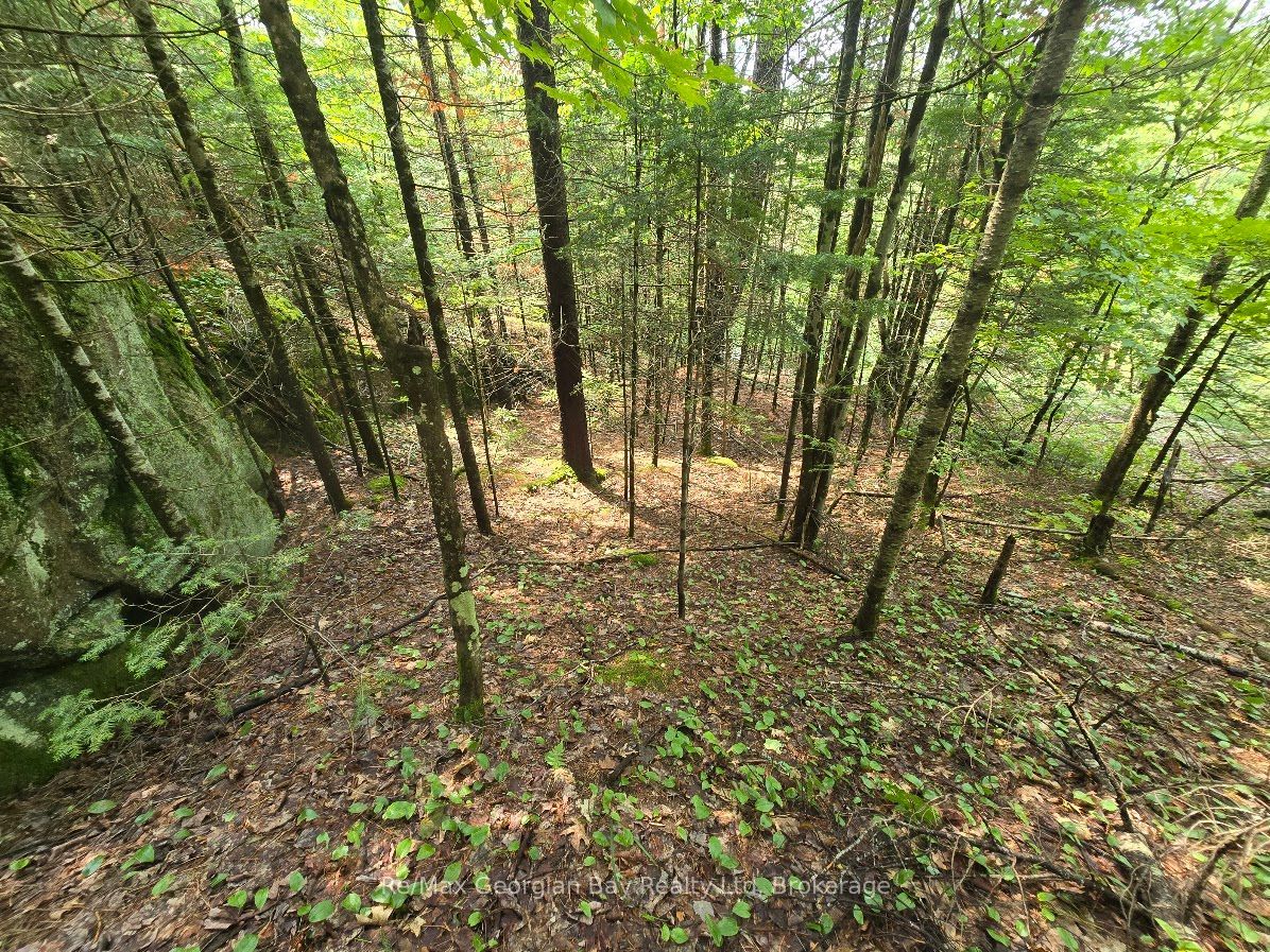 107 Balsam Chutes Road Property Photo 14
