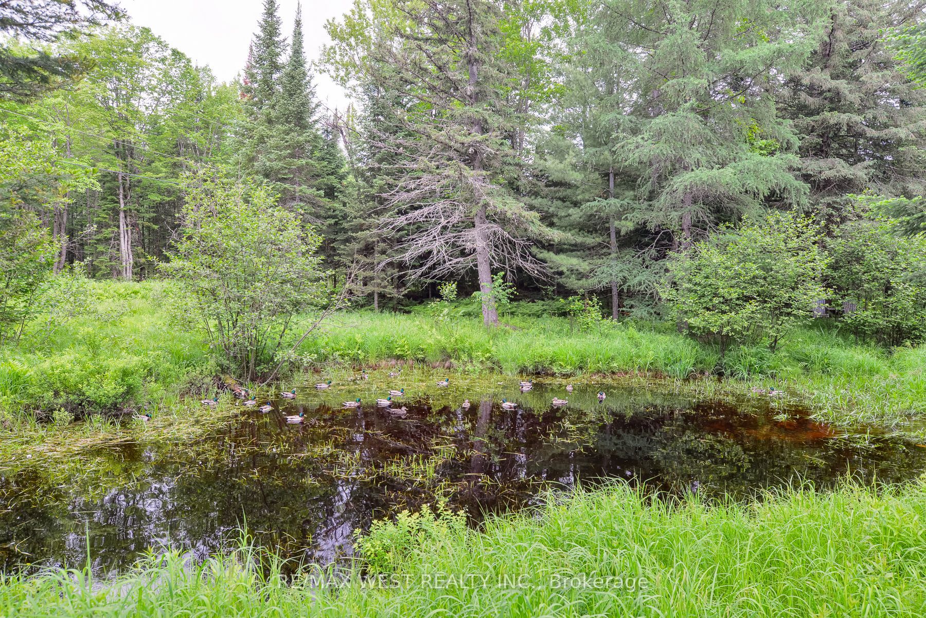 365 Clearwater Lake Road Property Photo 10