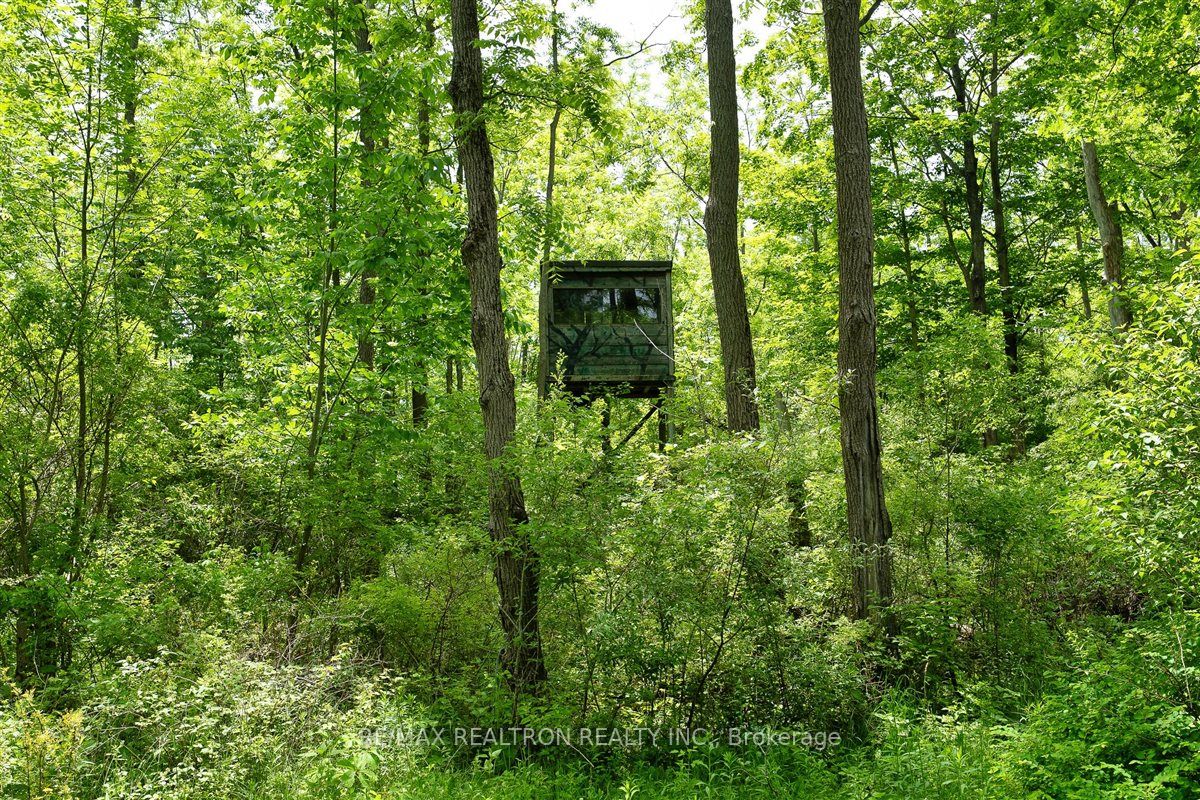 2740 Front Road Property Photo 11