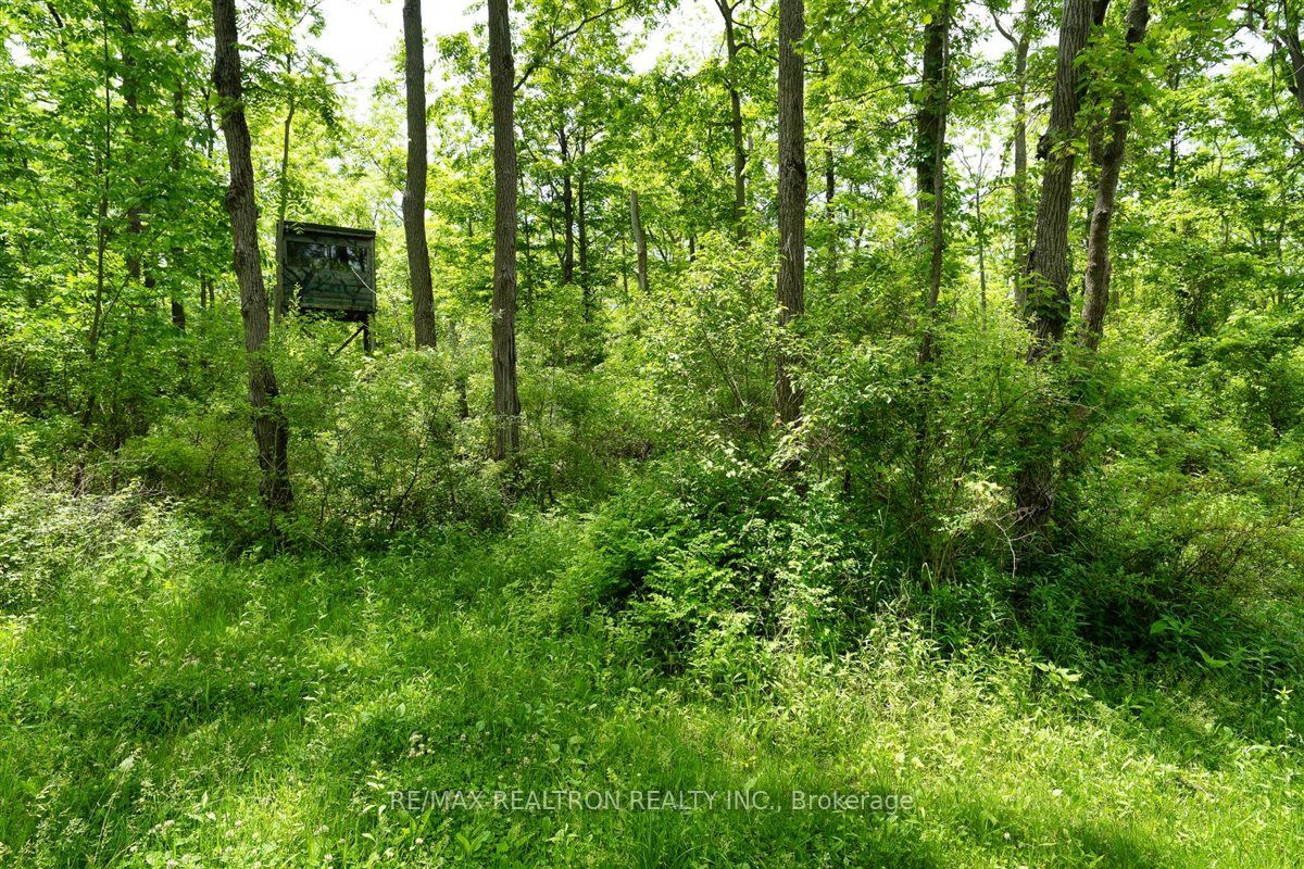 2740 Front Road Property Photo 12