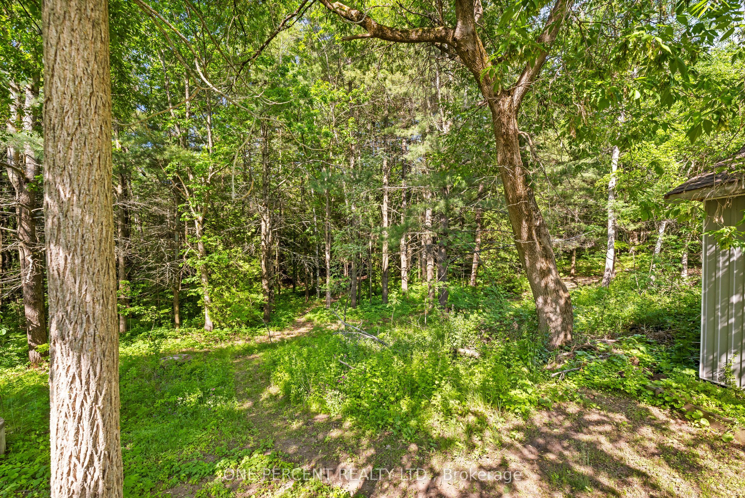 178 Fiddick Road Property Photo 30