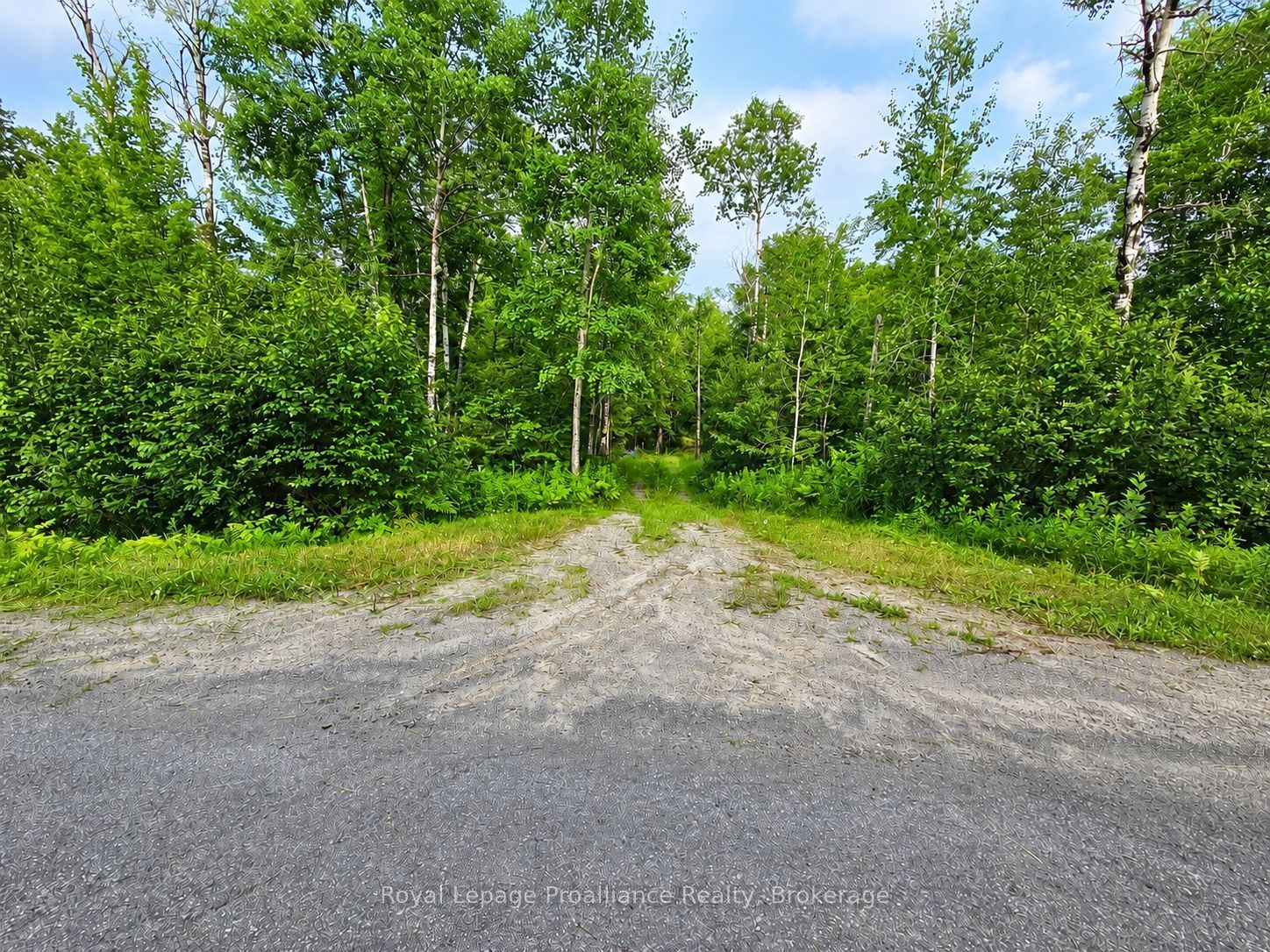 1446 Flinton Road Property Photo 1